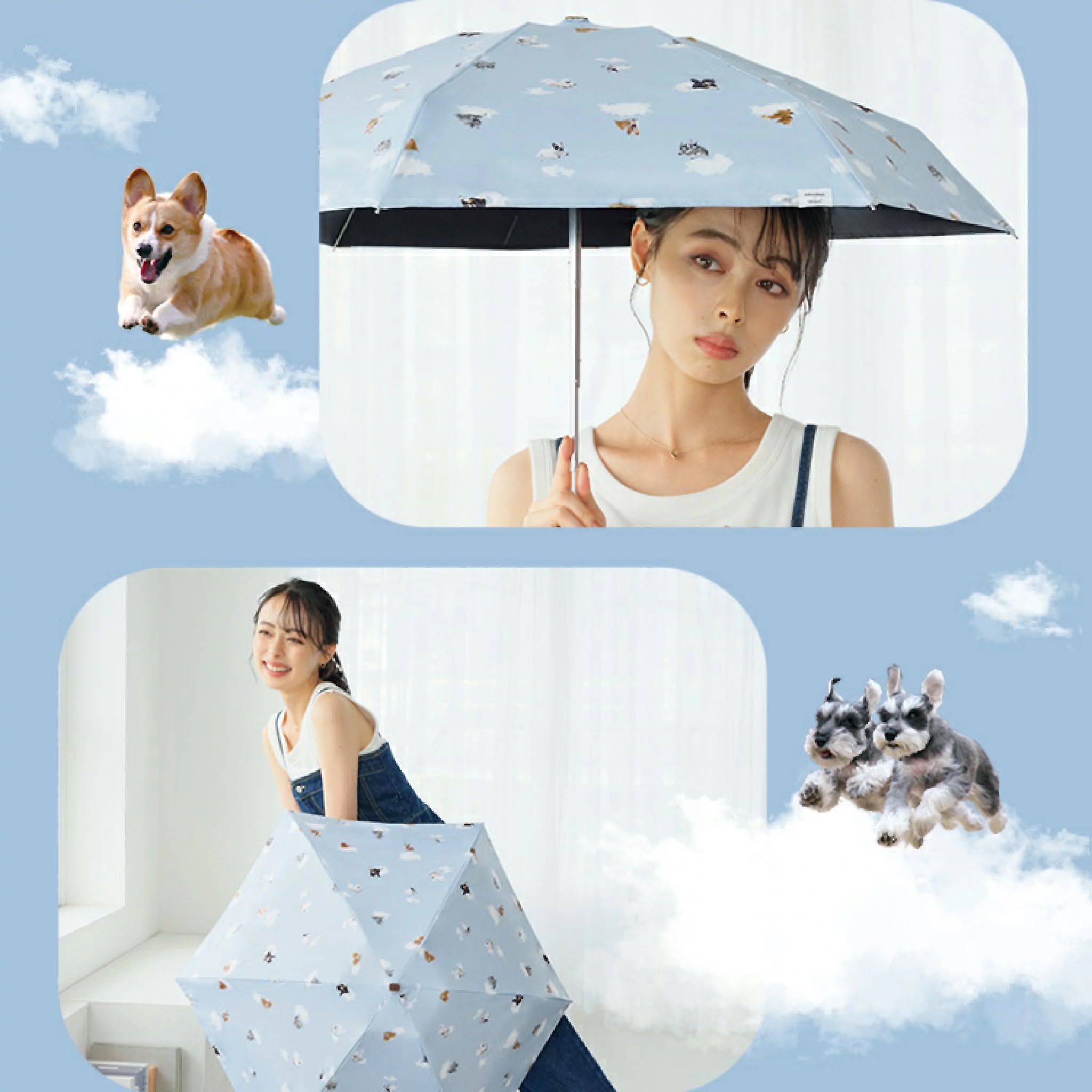 wpc 飛行犬