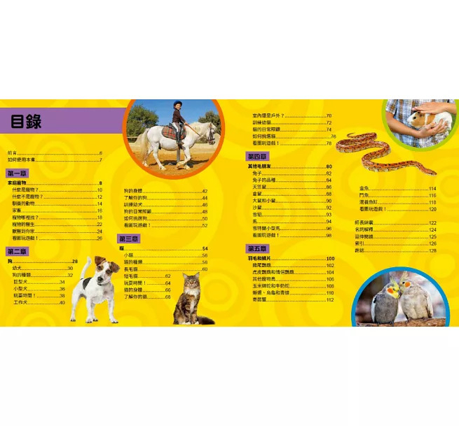 大石 國家地理小小寵物探險家
