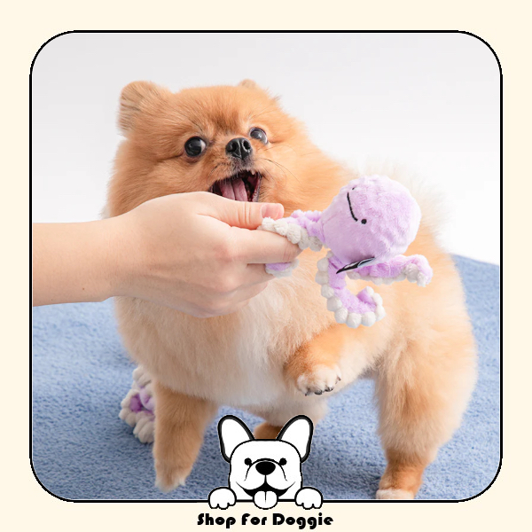 韓國 Bite Me 長手手玩具球