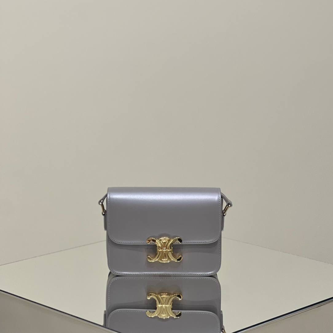 🔥大货实拍图 𝗖𝗘𝗟𝗜𝗡𝗘 ♥ 𝗧𝗘𝗘𝗡 𝗧𝗥𝗜𝗢𝗠𝗣𝗛𝗘 型号：188423 中号尺寸：22.5*16*7cm 小号尺寸：18.5*14*6cm