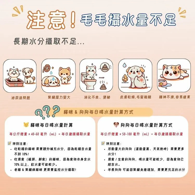 台灣寵愛毛毛慢燉鱘龍湯包