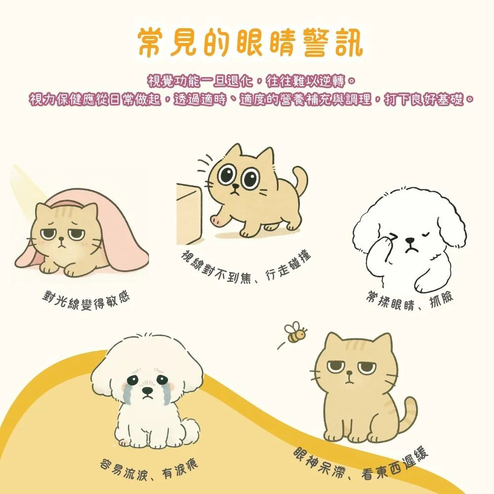 【台灣寵愛毛毛・惜命命護眼保健】