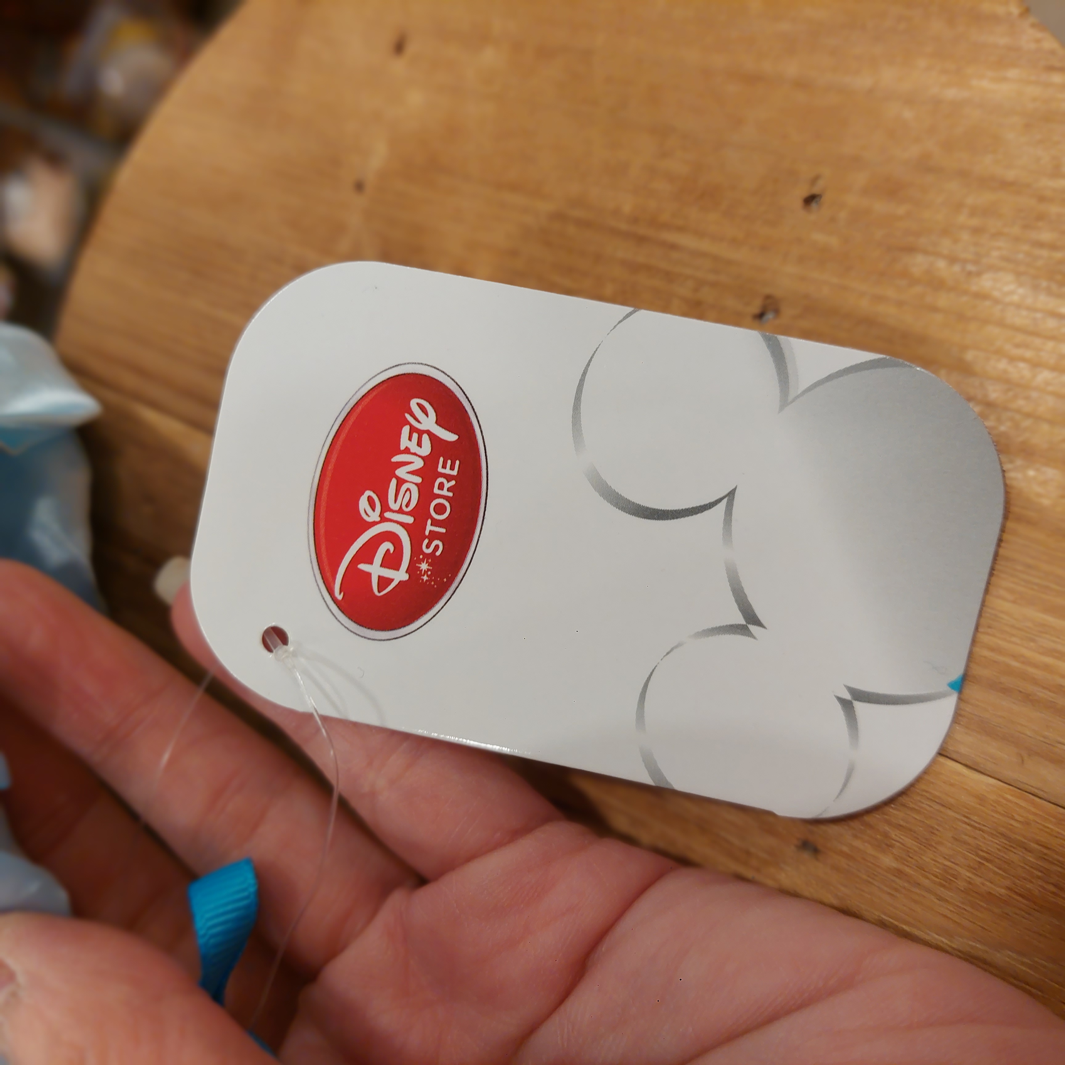 原裝日本 廸士尼 Cinderella 灰姑娘 南瓜車 索繩袋