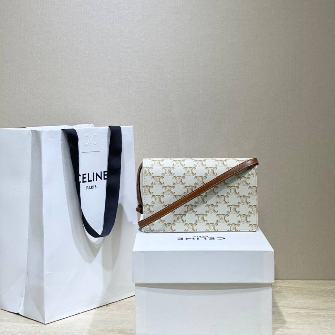 🔥大货实拍图 𝗖𝗘𝗟𝗜𝗡𝗘 ♥ 𝗖𝗔𝗡𝗩𝗔𝗦 𝗪𝗢𝗖风琴包 型号：10D852 尺寸：20*11.5cm