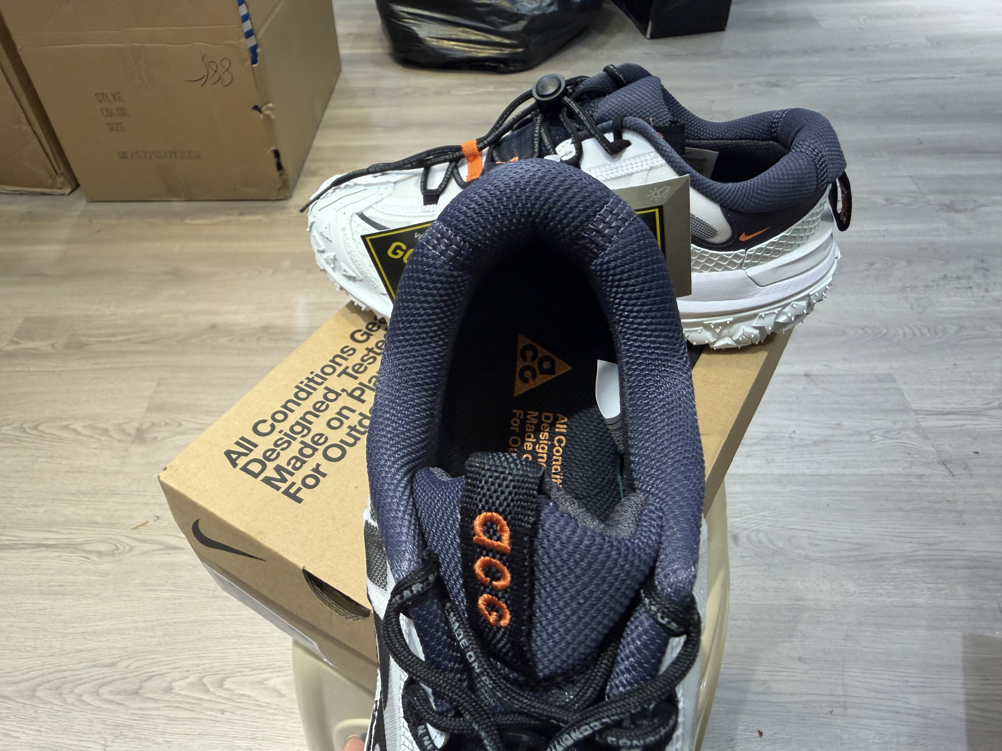 Nike ACG Mountain Fly 2 Low