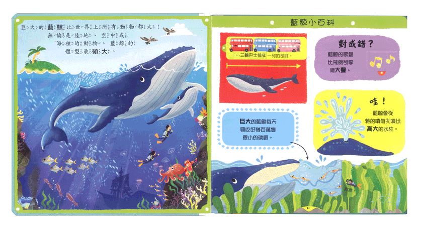 上人 First facts and flaps: 奇妙的動物