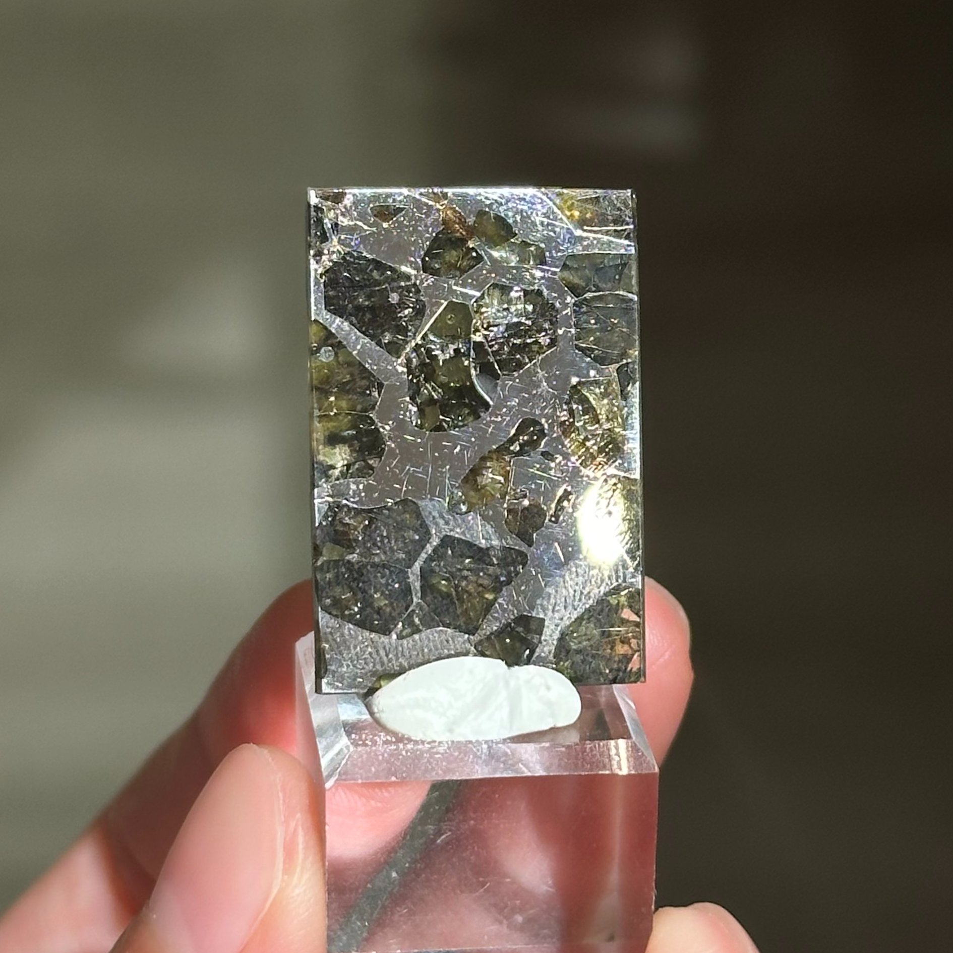 橄欖鐵隕石 - Pallasite Meteorite｜PA03