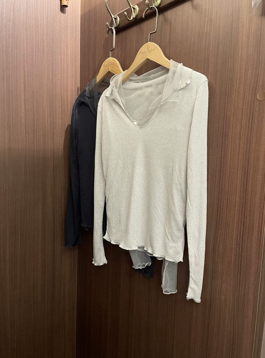 🍂SEE-THROUGH LAYER TOP