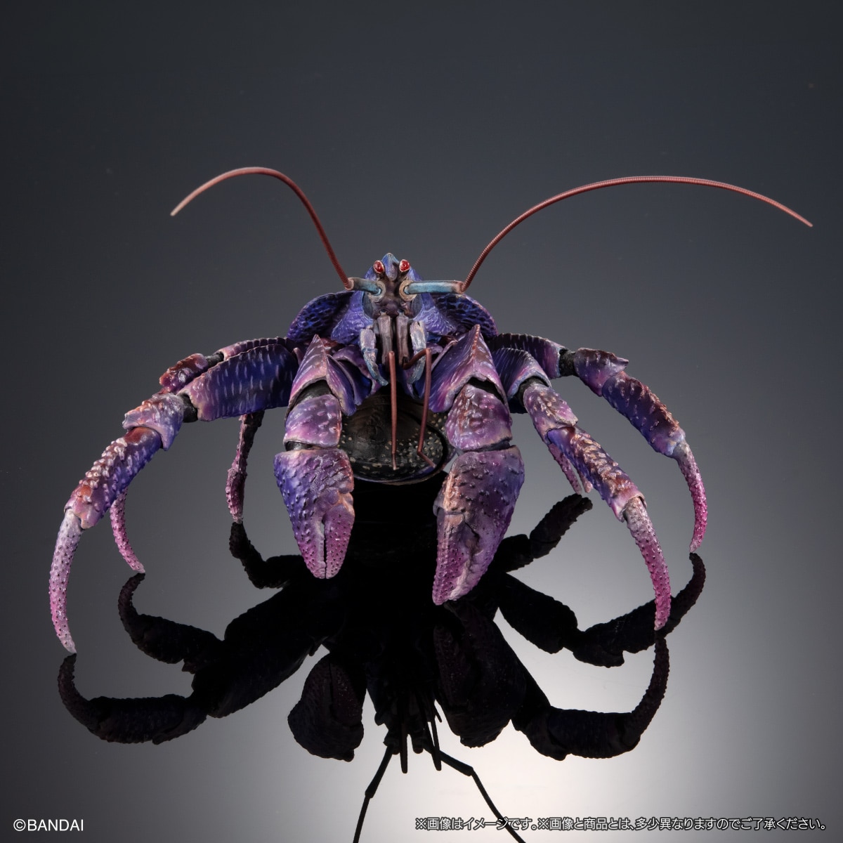 (預訂訂金 $200) (總價 $471) (Gashapon Online 限定) Bandai 生物大圖鑑 Premium 椰子蟹 (紫色) 扭蛋 (行版) Birgus Latro (Purple Color)