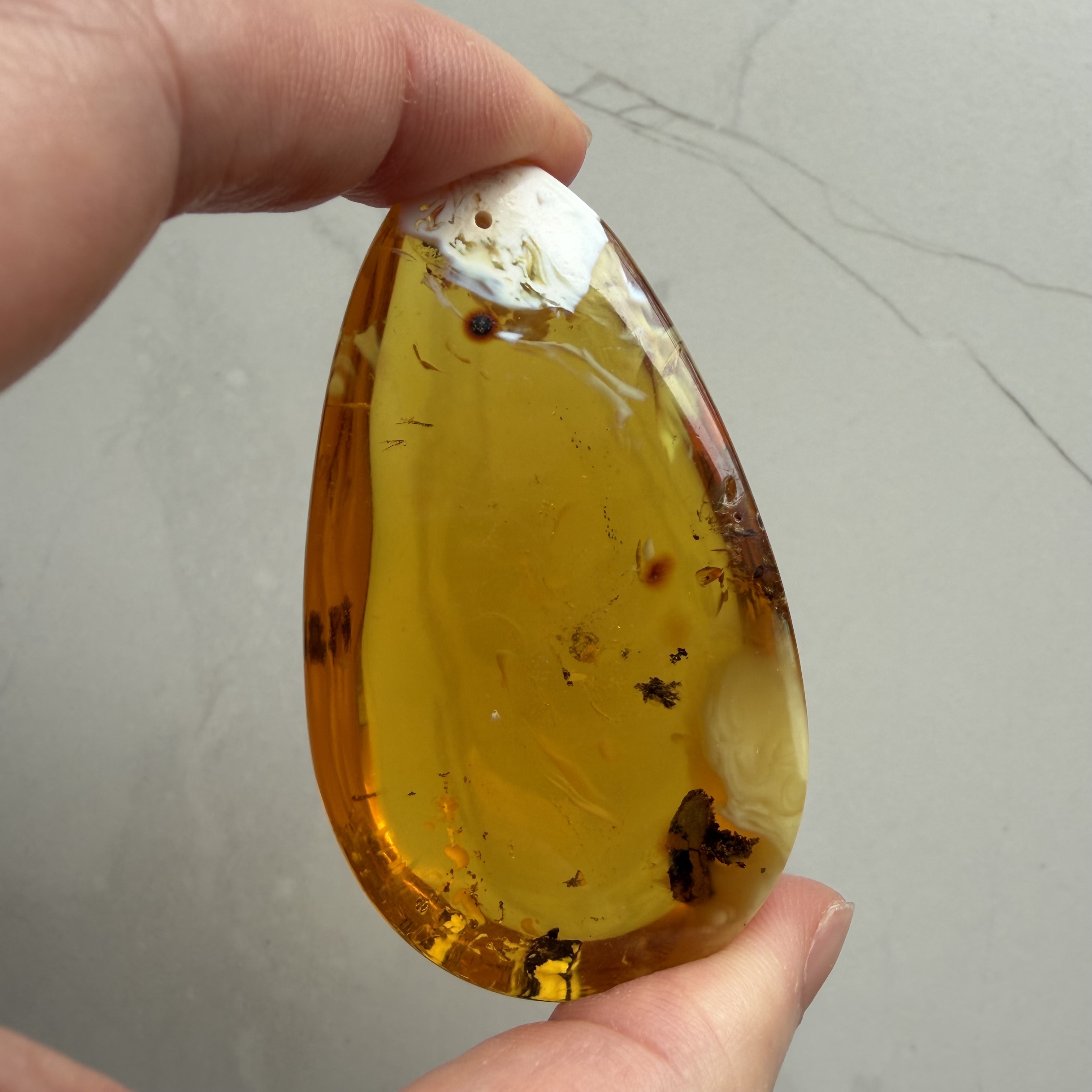 ［閉店一口價］波羅的海金瓷白熒光植物意境珀