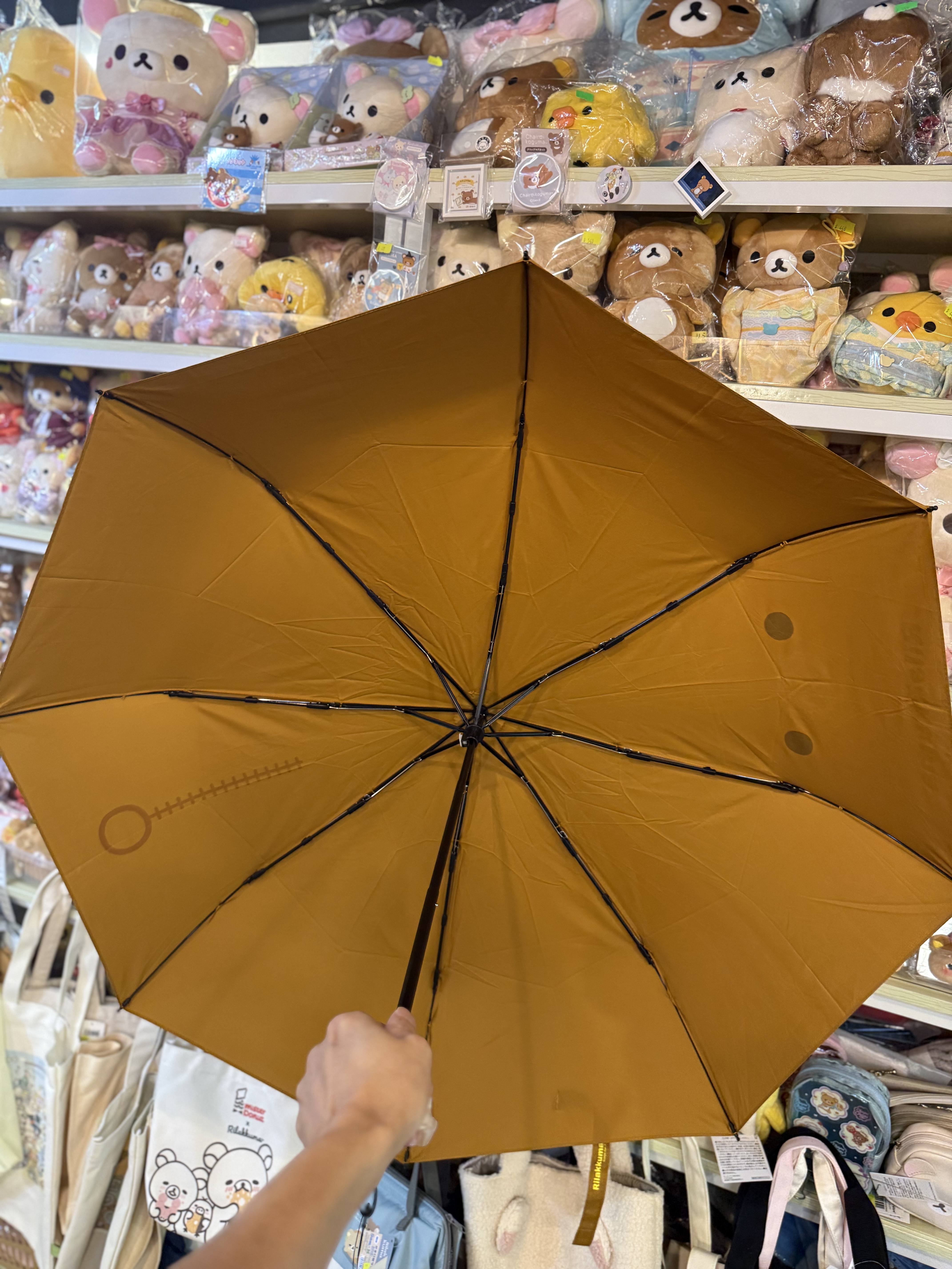 《現貨》全新Rilakkuma韓國專店限定縮骨遮