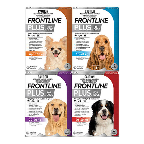 Frontline Plus for Dogs 澳洲版本狗用殺蚤除牛蜱滴頸藥水