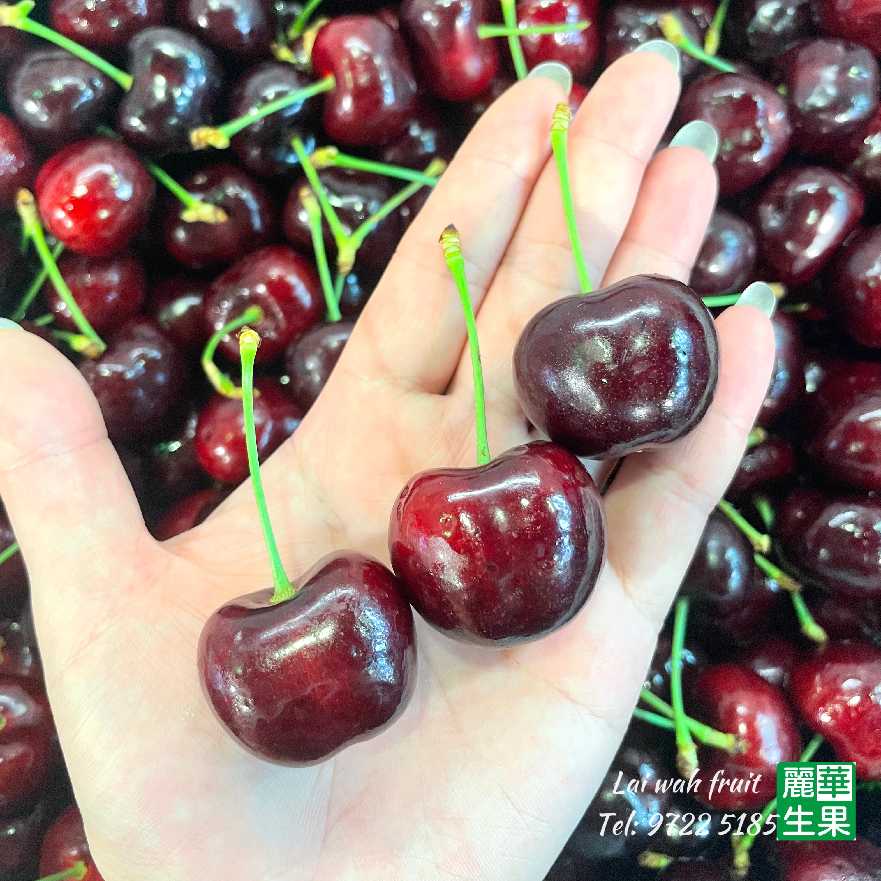 【🇺🇸美國車厘子8.5R🍒】