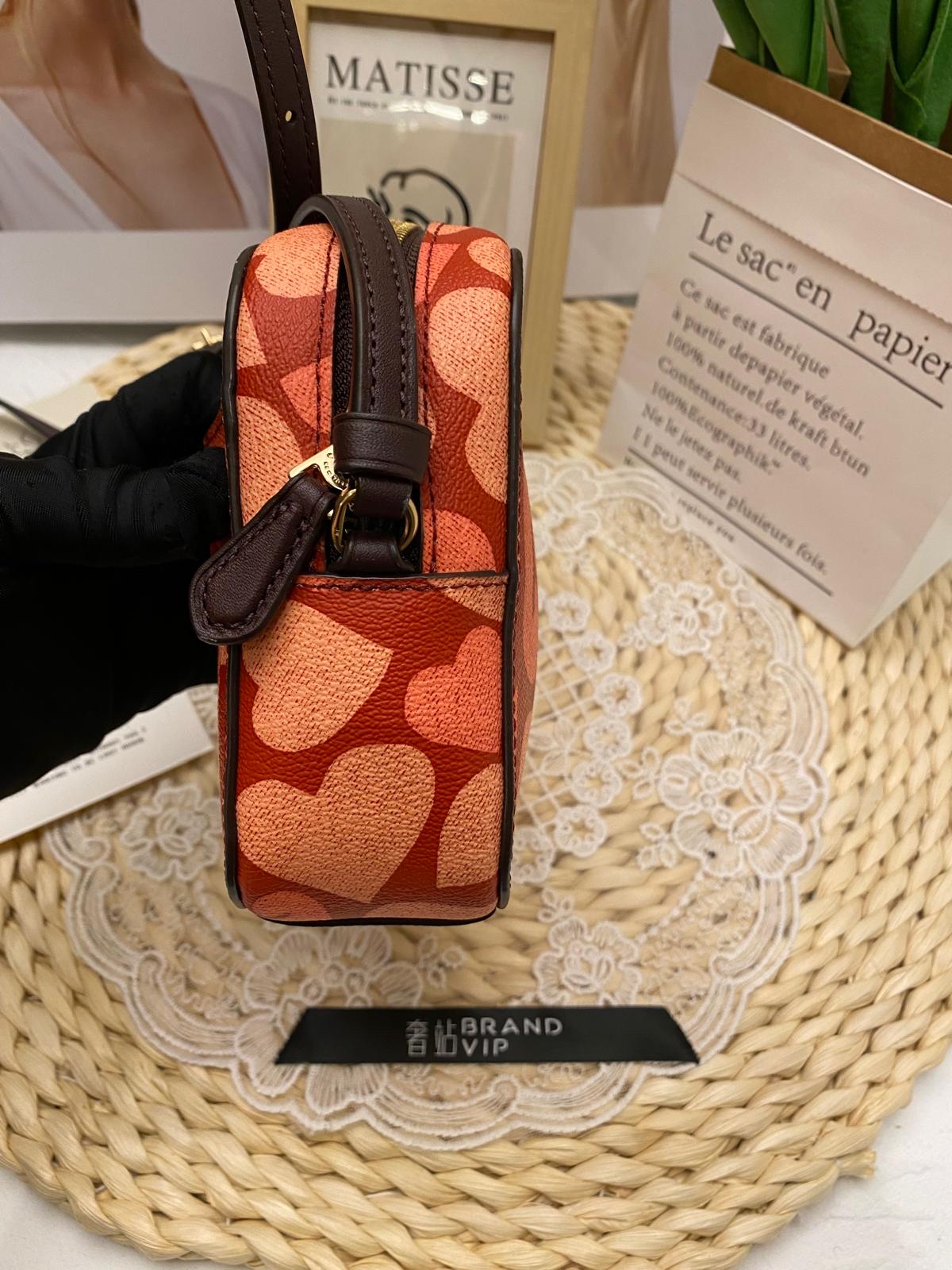Coach Mini Camera Bag With Heart Print