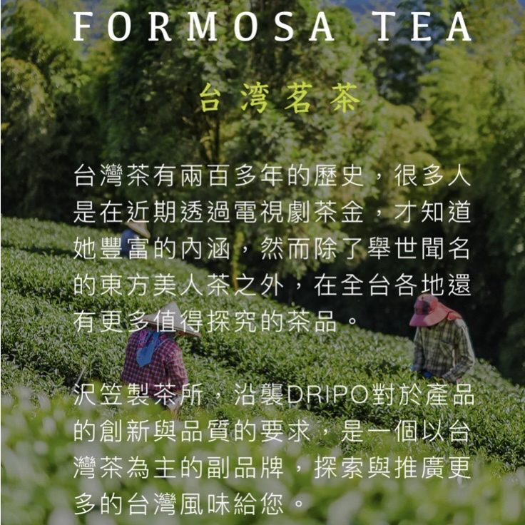 【2026新系列】沢笠製茶所台灣產罐裝散茶系列