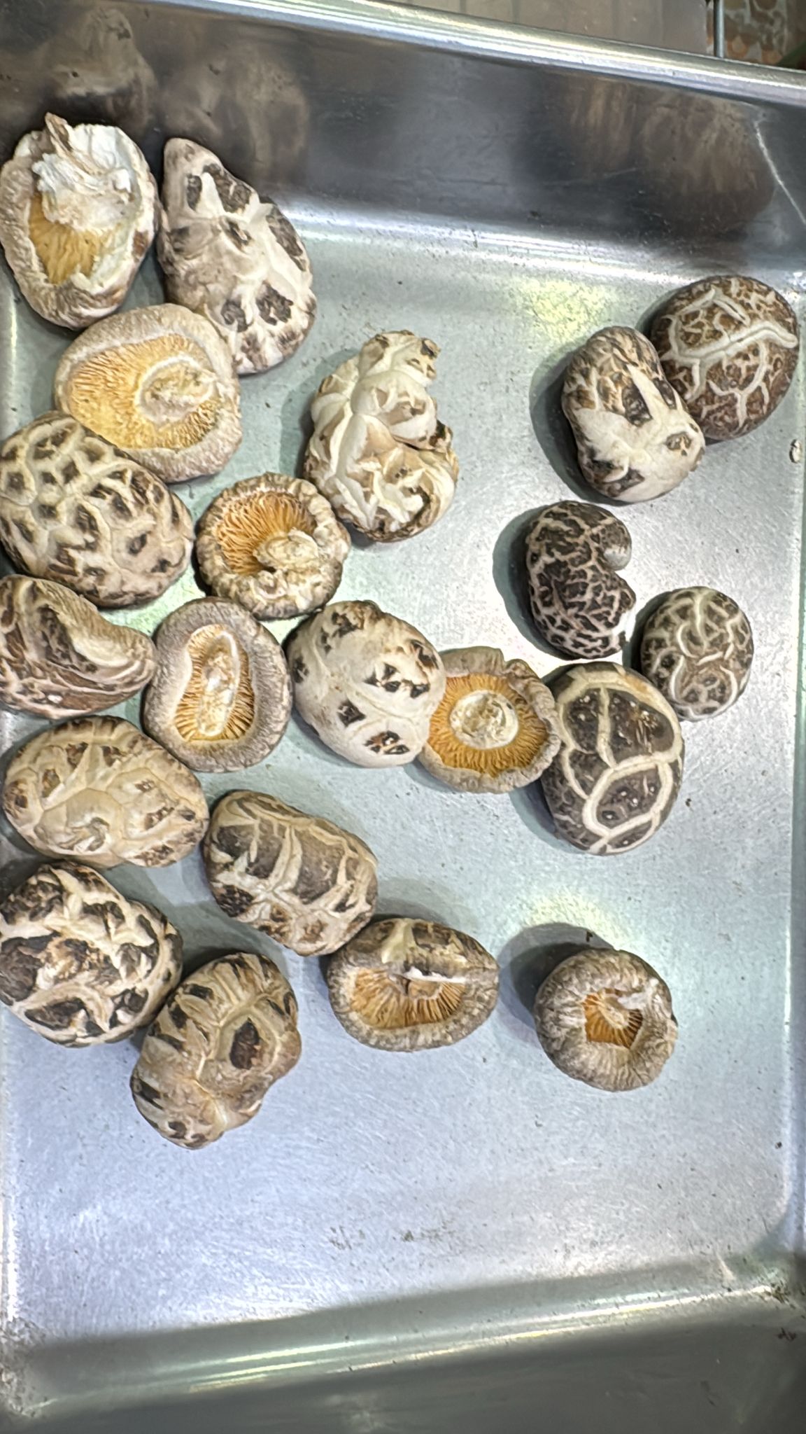 無腳花菇禮盒（細隻） 1斤裝