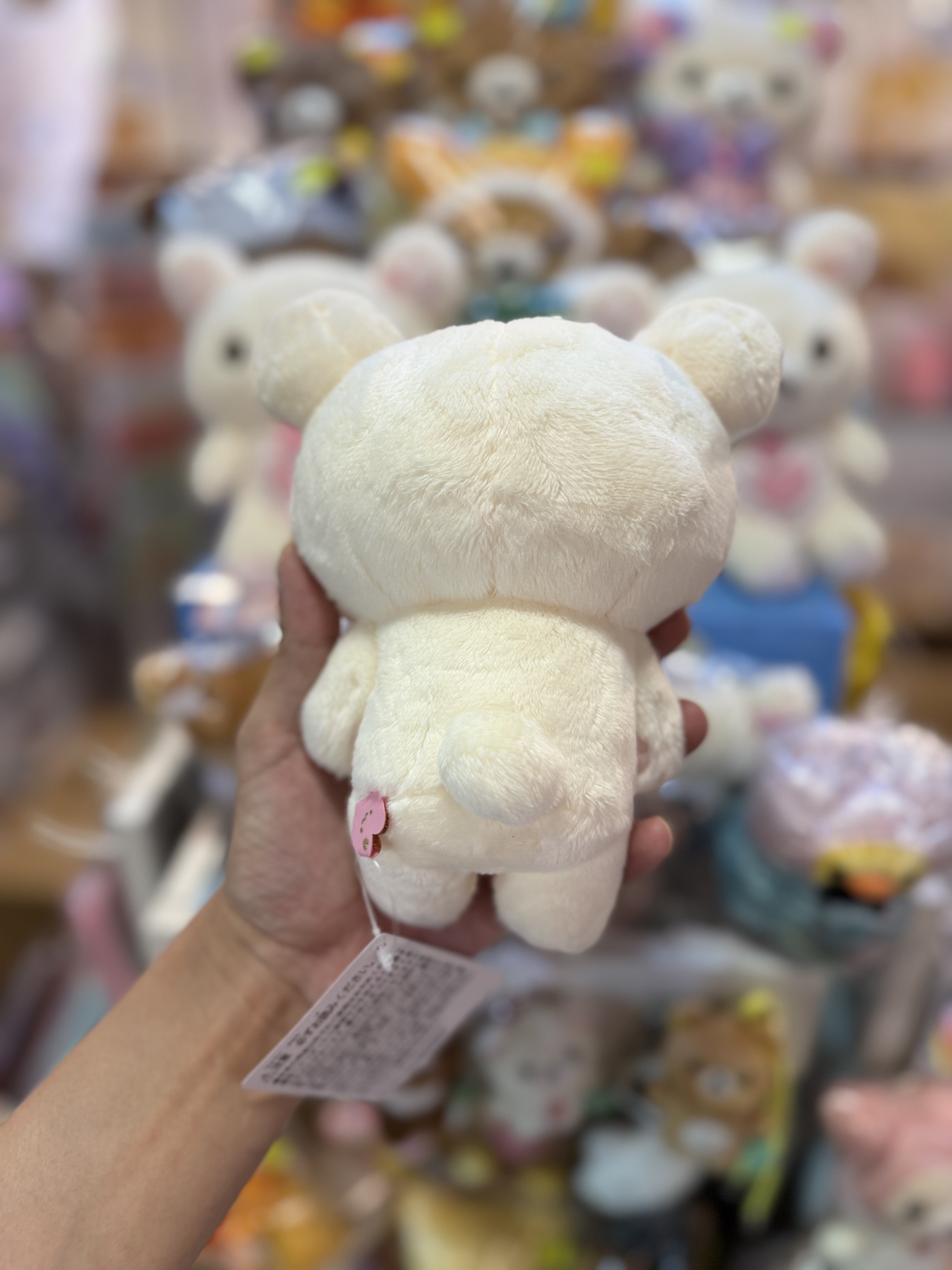 《現貨》全新日本San-x pop up店限定小白熊公仔