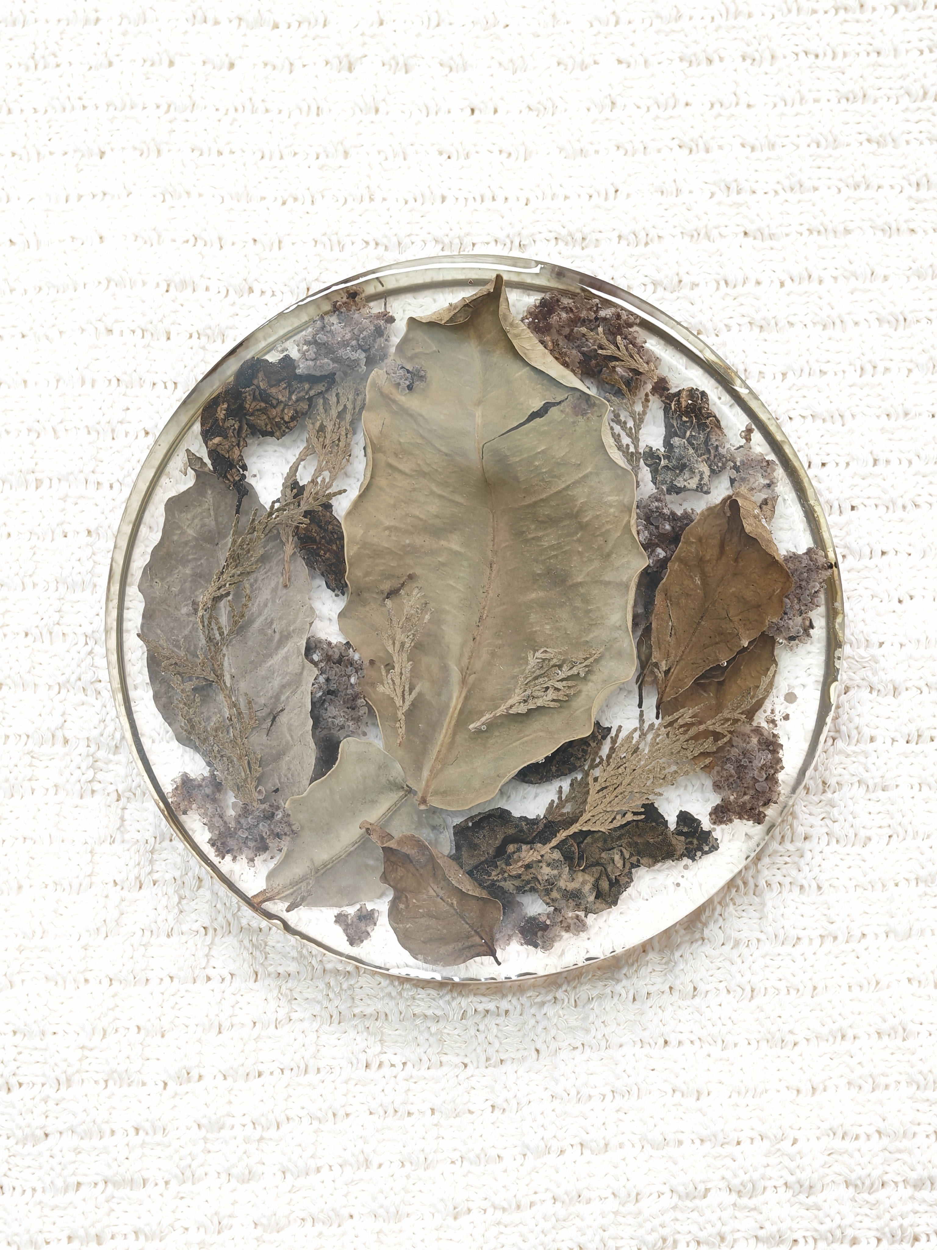 四葉花精靈氣板 Four Leaf Hz Floral Plate 