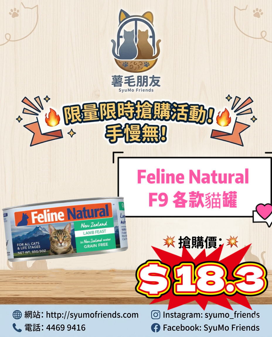 Feline Natural F9 - 貓罐 85g