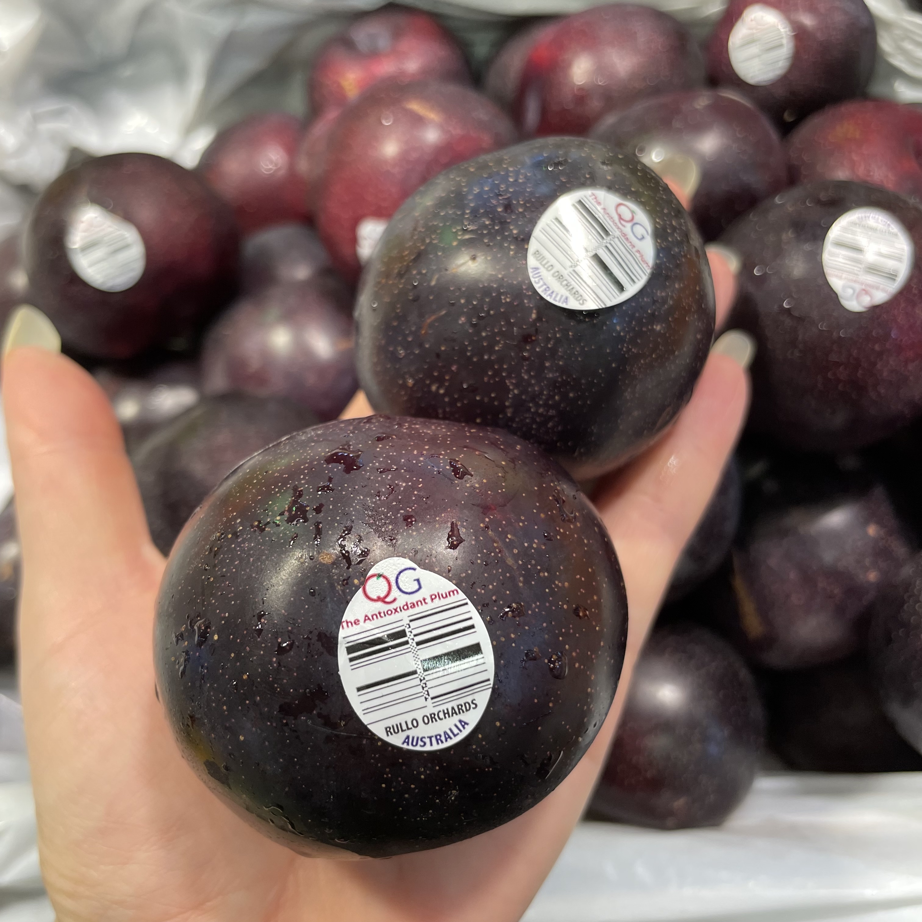 【澳洲皇后梨(黑布冧) 】$40/1磅