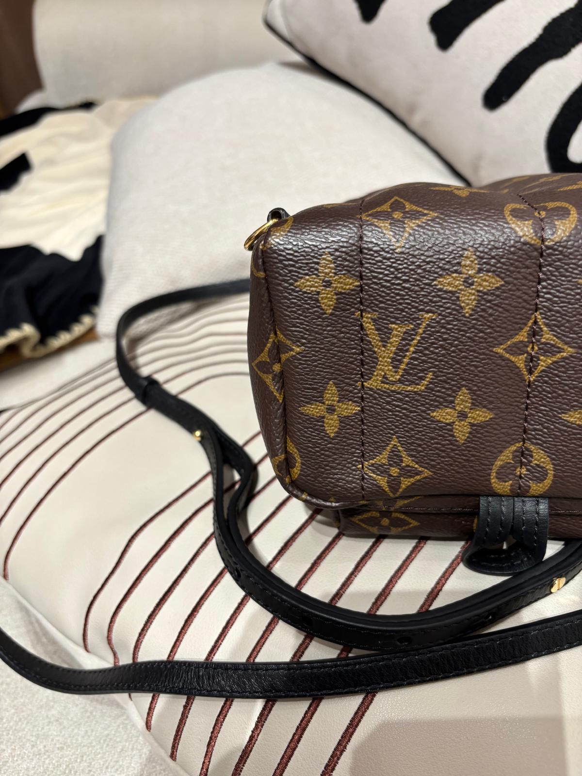 Lv mini Palm Springs backpack M44873 100%Authentic ,98%new ✅dust bag✅Strap