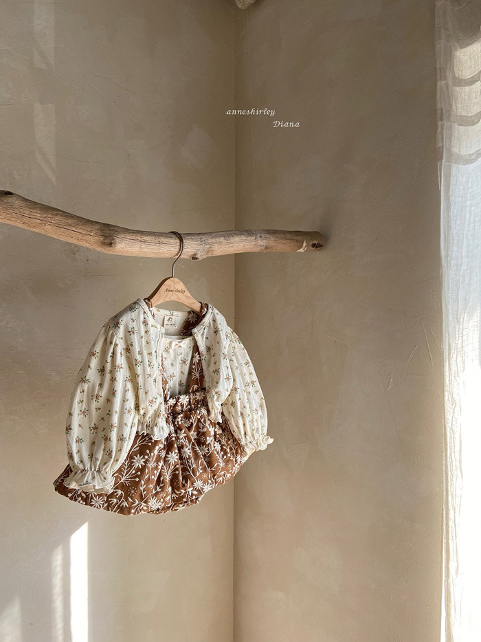 🇰🇷Anne shirley cardigan (不連背心）