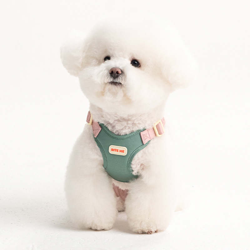 *預購 BiteMe🇰🇷 Comfort Harness v2