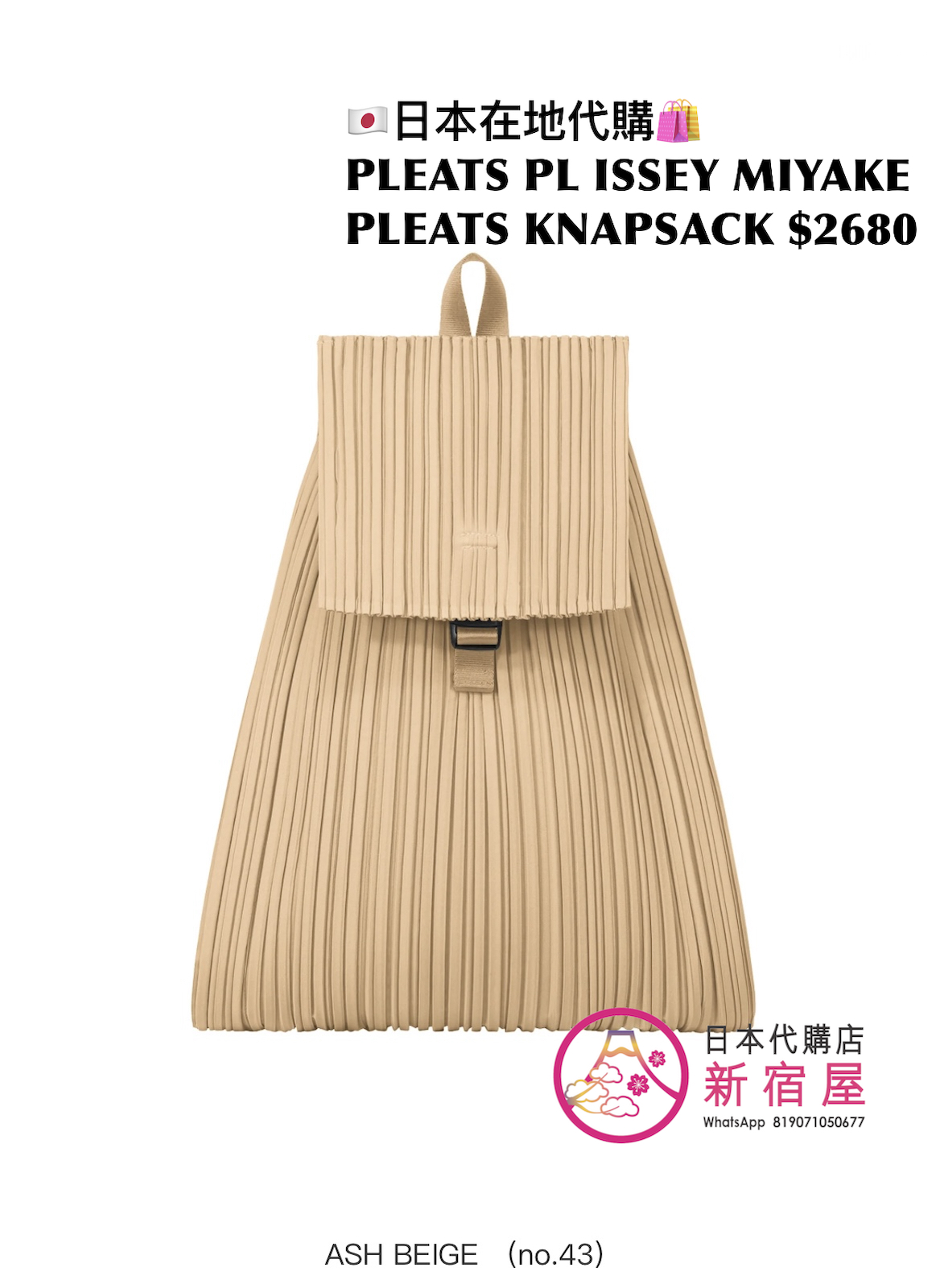 PLEATS PLEASE ISSEY MIYAKE PLEATS KNAPSACK 