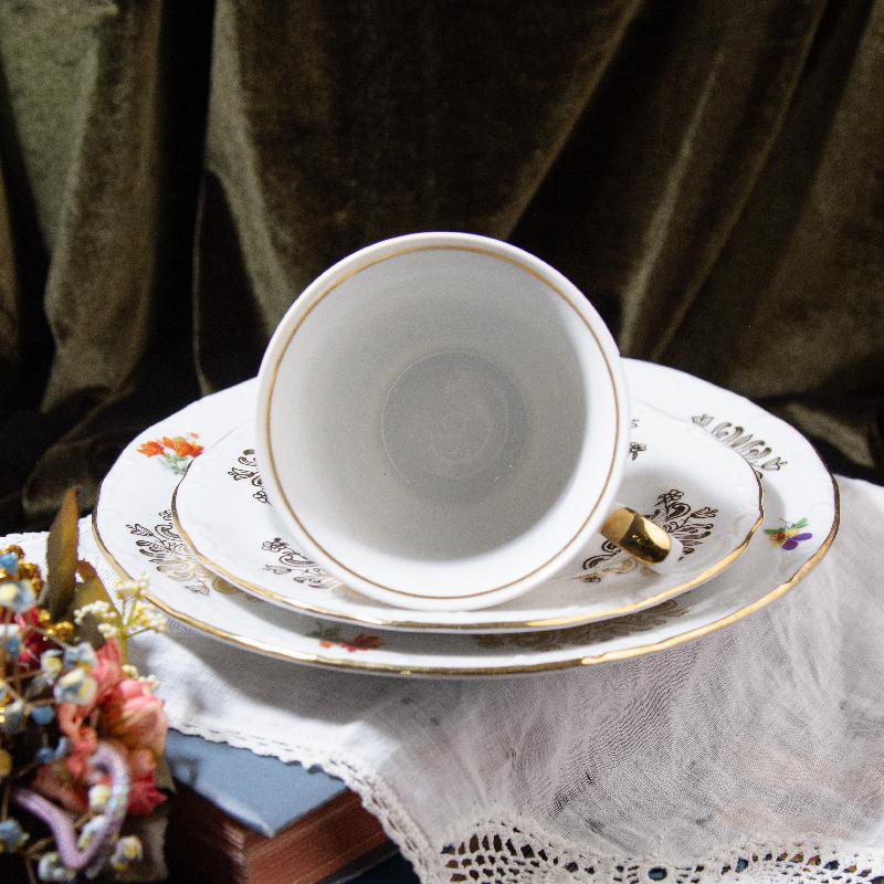 C.a. 1960s Bavarian Johann Seltmann Sophisticated Colour & Gold Gilt Floral Pattern Tea Set (CC052)