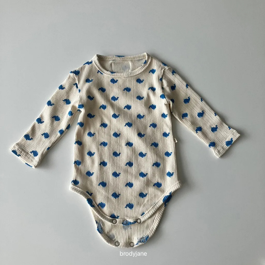 🇰🇷Brodyjane suit