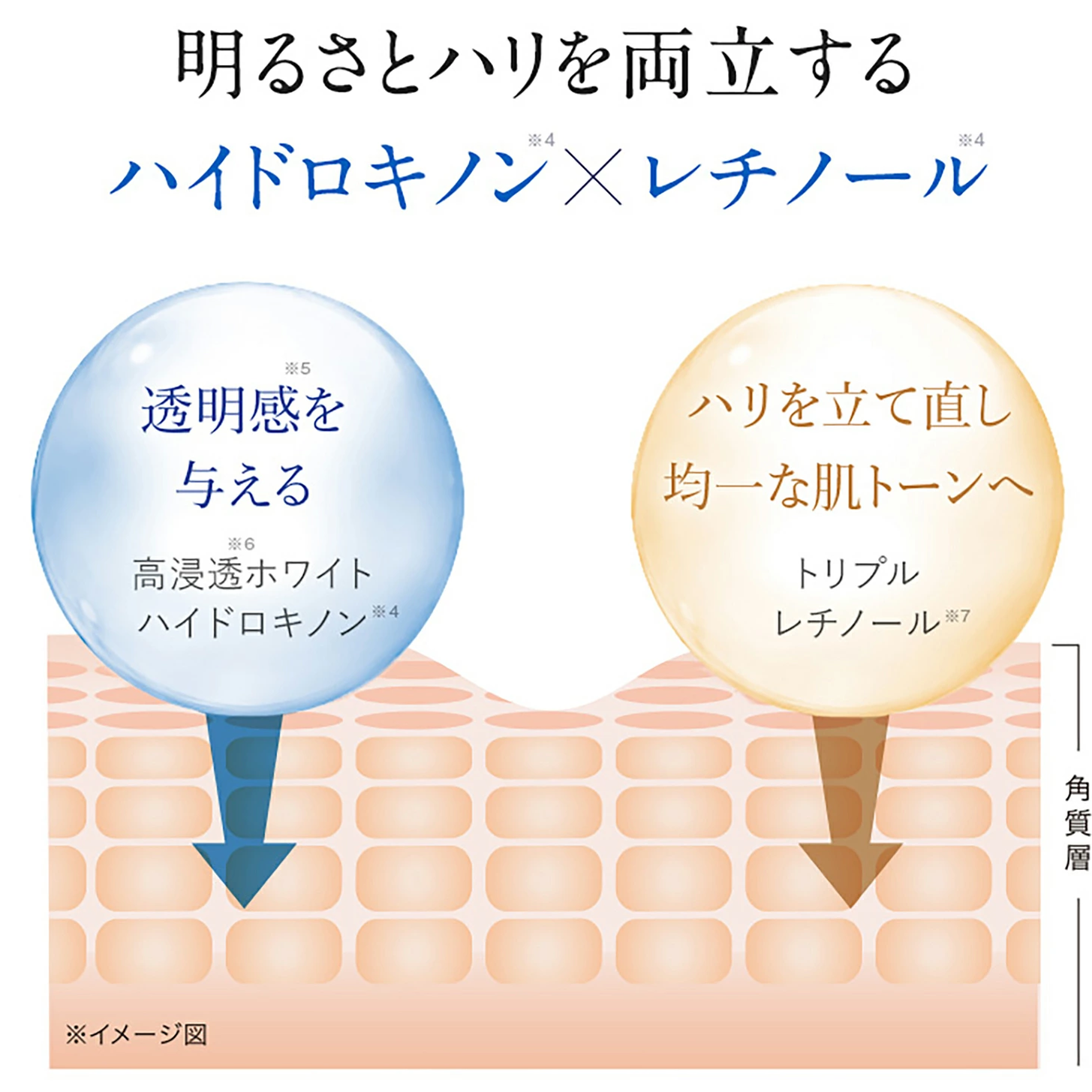 【日本直送】AMPLEUR HQ Retinol Eye 5-in-1 眼霜 20g |平行進口正品