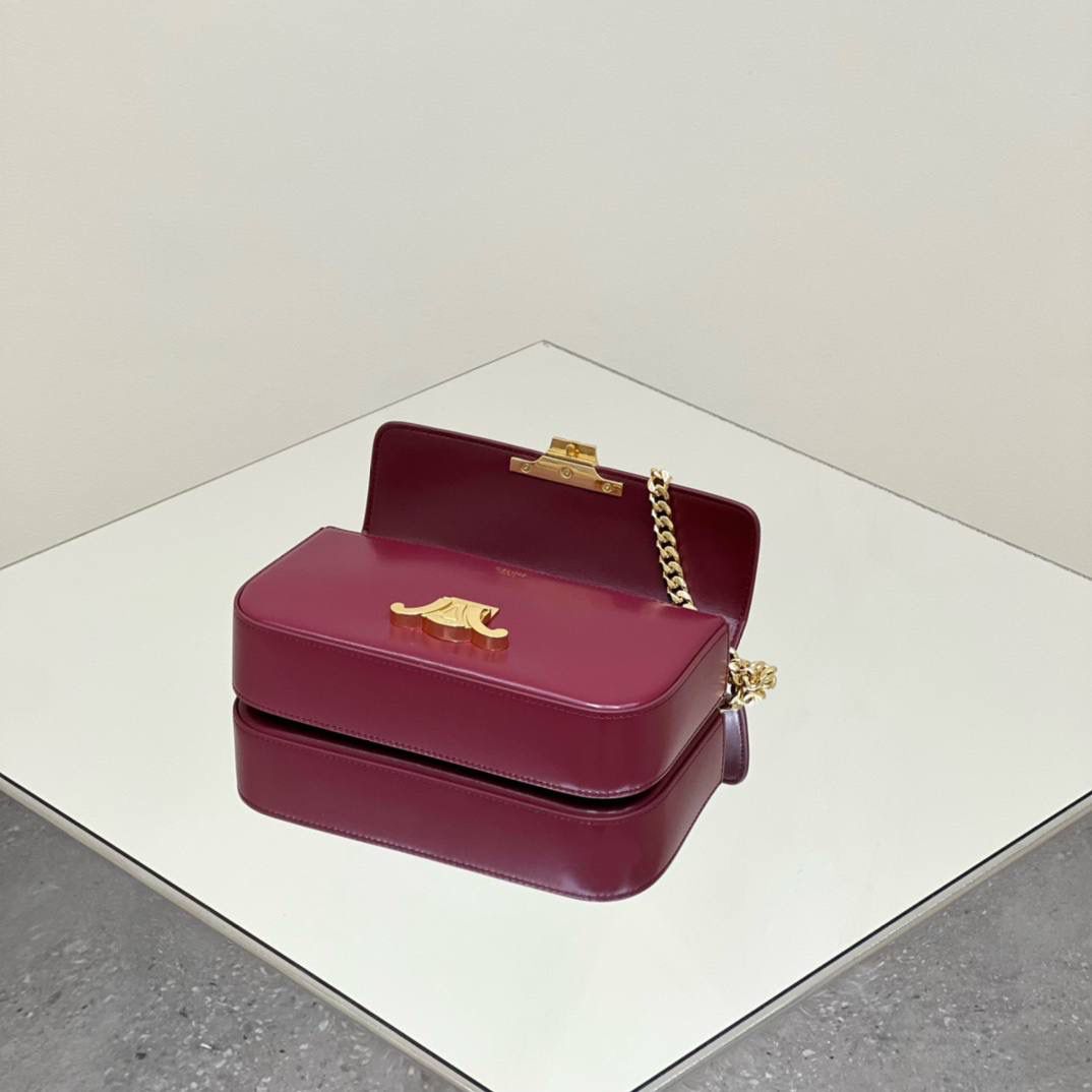 🔥大货实拍图 𝗖𝗘𝗟𝗜𝗡𝗘 ♥ 𝗧𝗥𝗜𝗢𝗠𝗣𝗛𝗘链条腋下包 型号：197993 尺寸：20.5*11.5*4cm