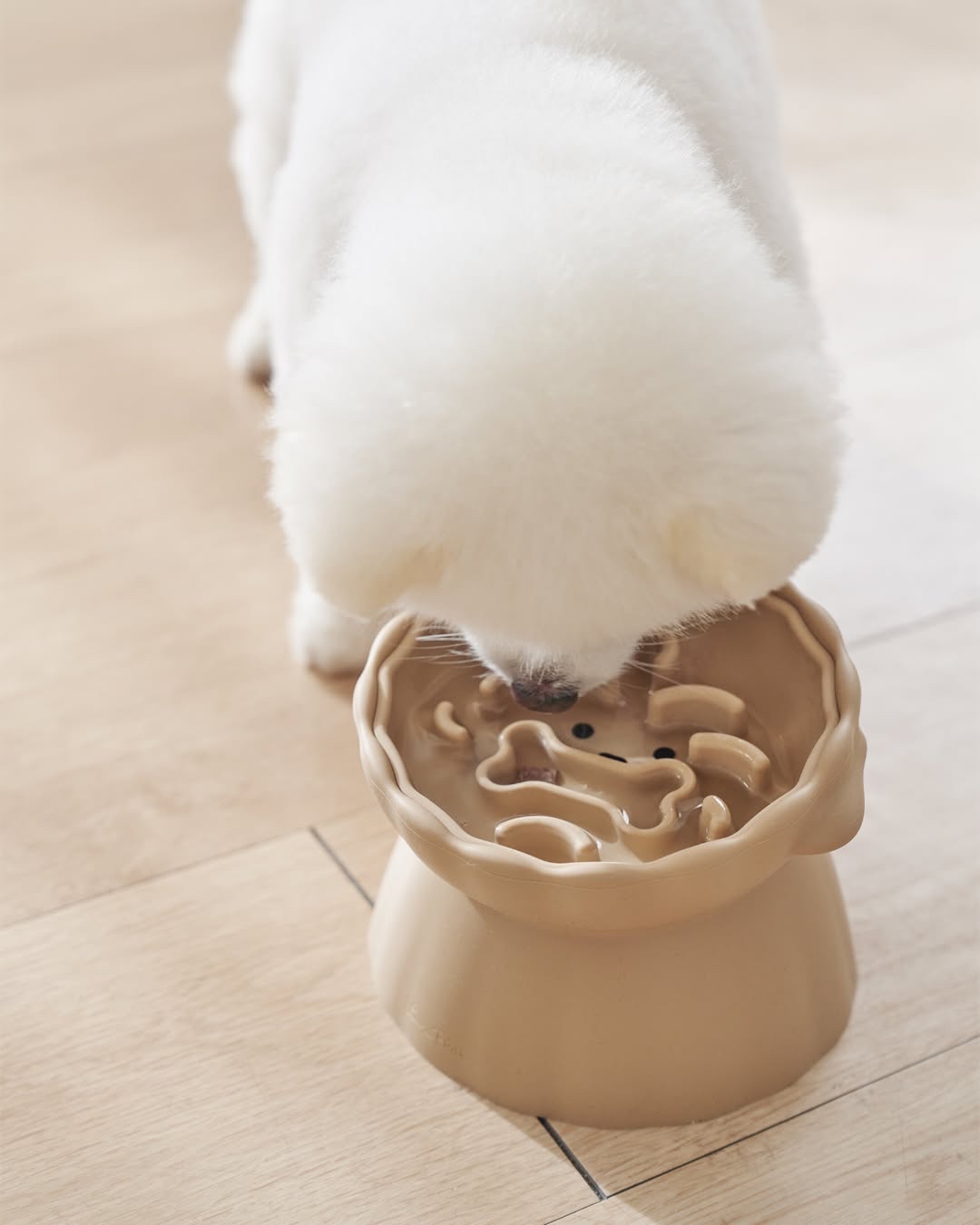 韓國🇰🇷 狗狗造型慢食碗set