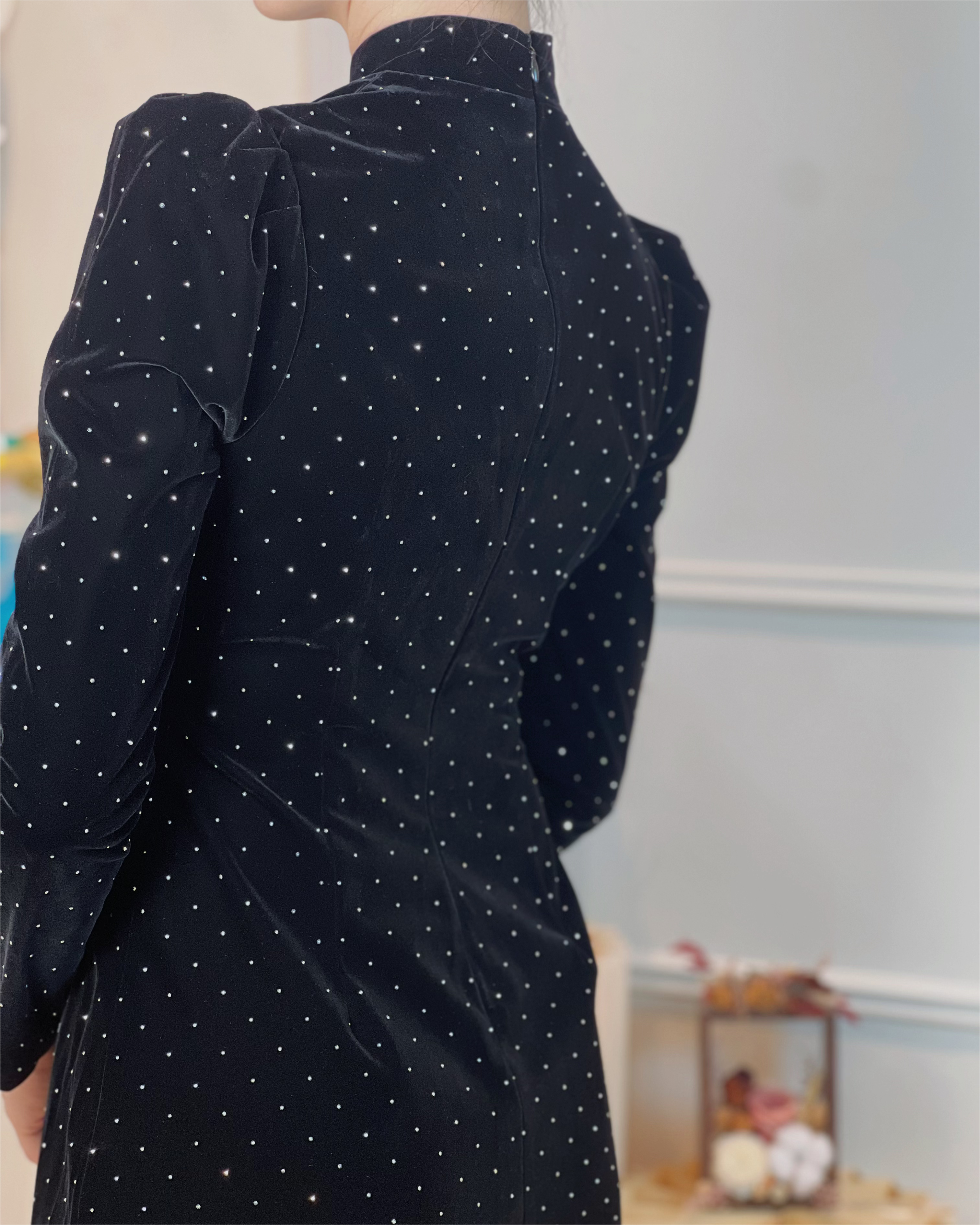 5091 Celeste Crystal Mini Dress