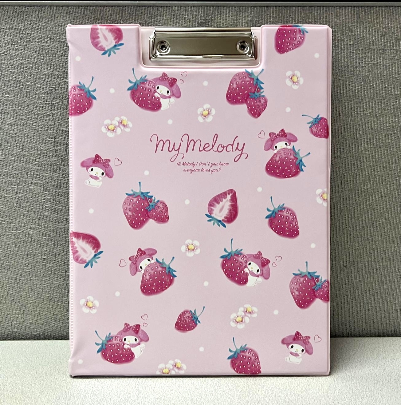 🎌日本直送🎌Sanrio 卡通 文件板連File