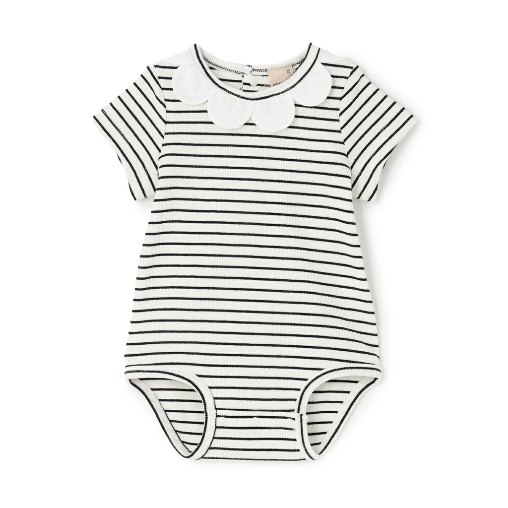 🇯🇵預訂 日本直送🇯🇵Petit Main四色扇形領短袖包屁衣