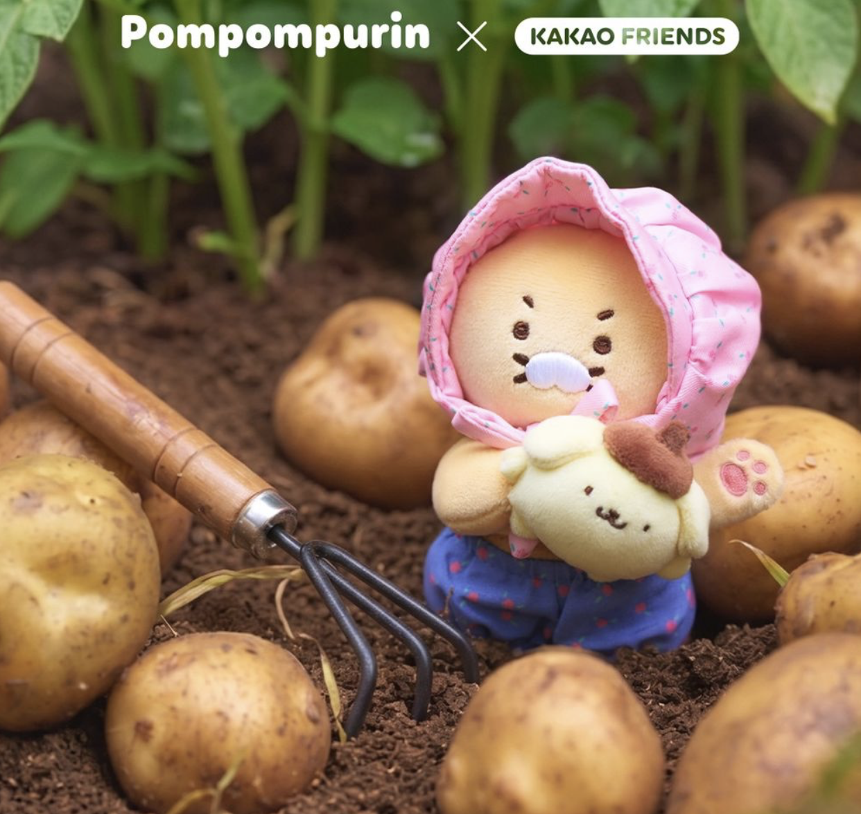 世紀聯乘｜韓國Kakao Friends X Sanrio 布甸狗 鄉村農場風 系列 治癒周邊