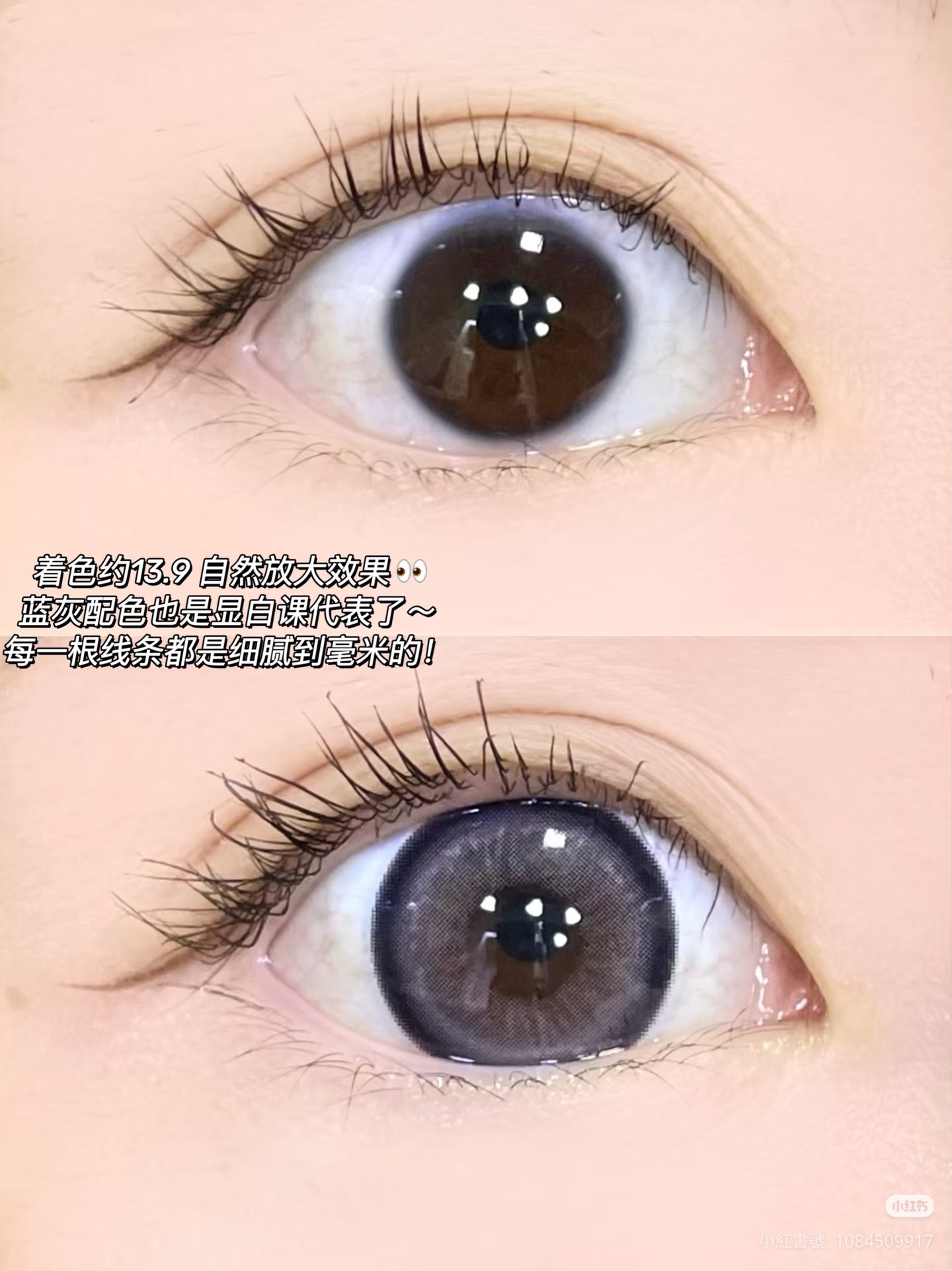 Fullygift 日拋 息光脉絡/沐光椰吻