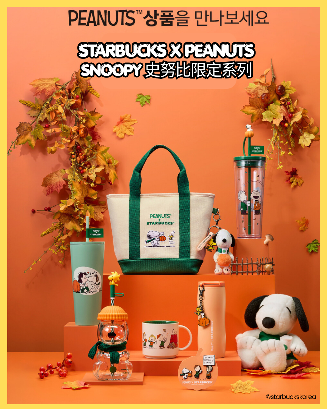 Starbucks - 韓國Starbucks x Peanuts SNOOPY 史努比限定  