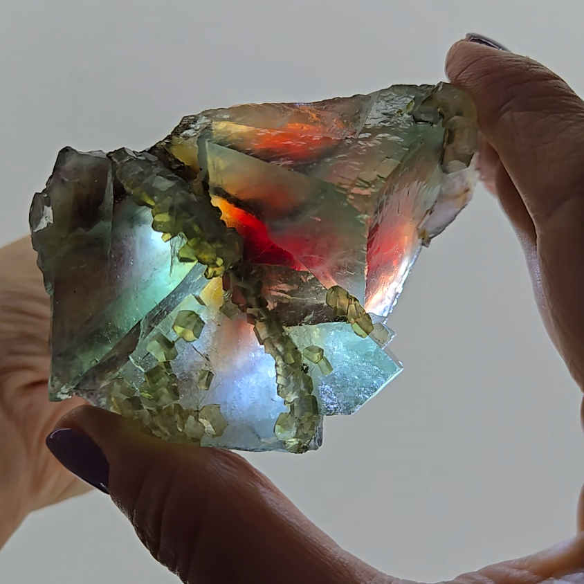 Red phantom fluorite with columnar calcite - FL227