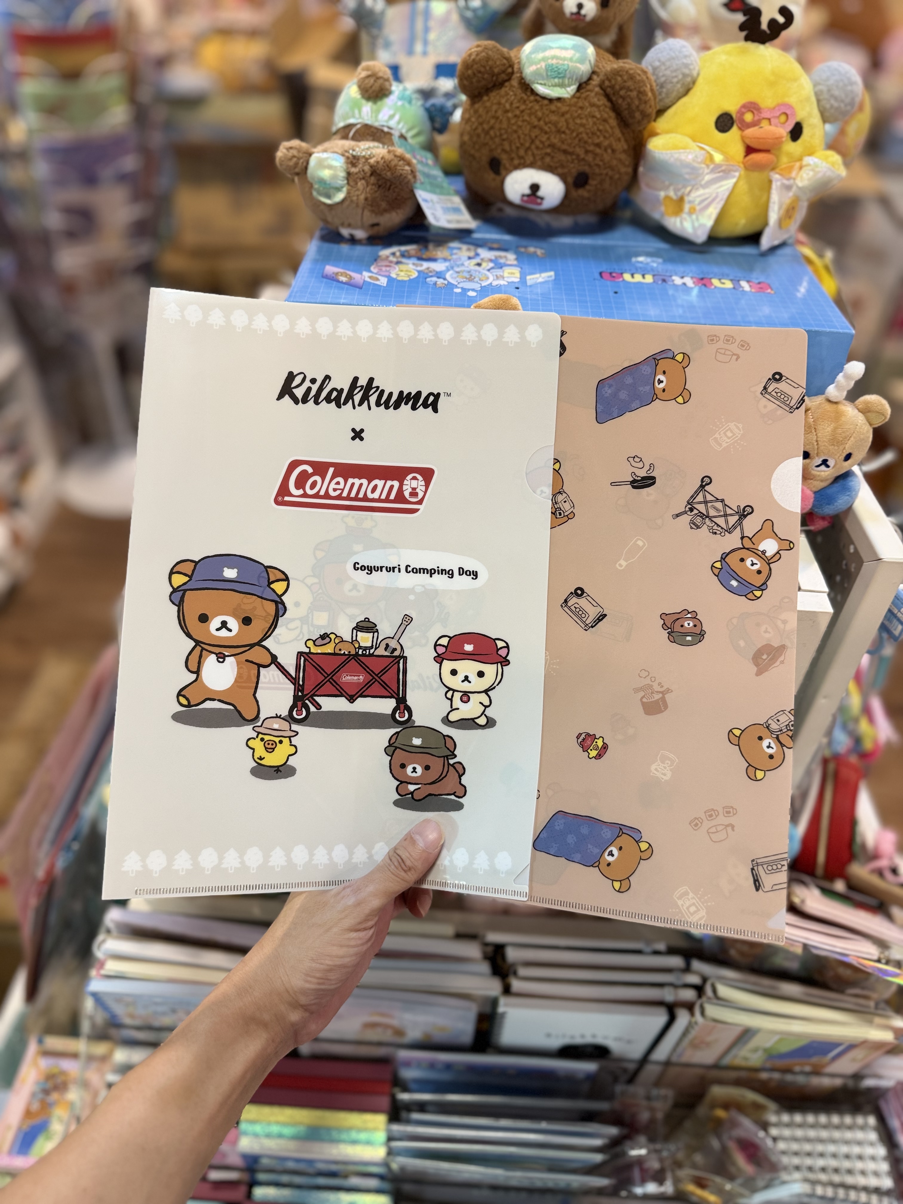 《現貨》全新日本專店限定 rilakkuma  x Coleman 對裝A4 file
