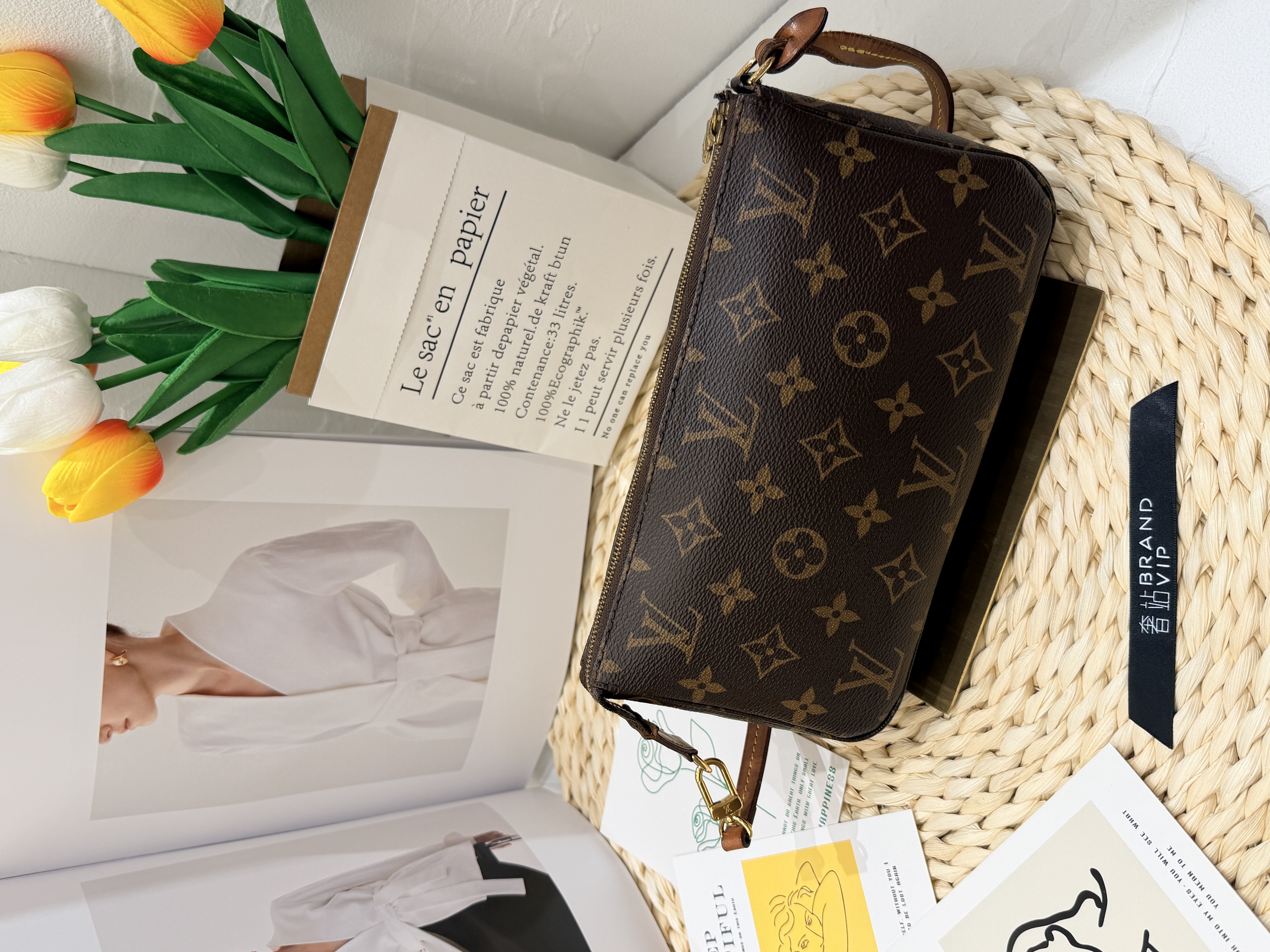 LV Pochette Accessoires Monogram 