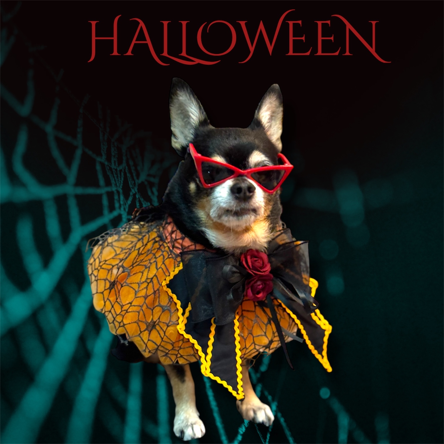 寵物手作 Halloween 暗黑者 歌德風 頸飾