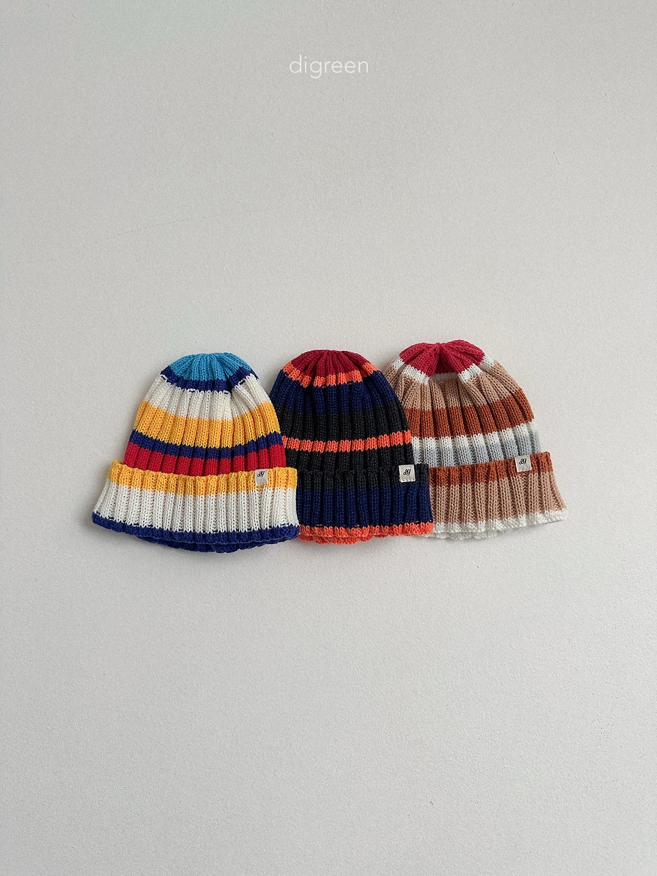 Digreen | multi beanie 