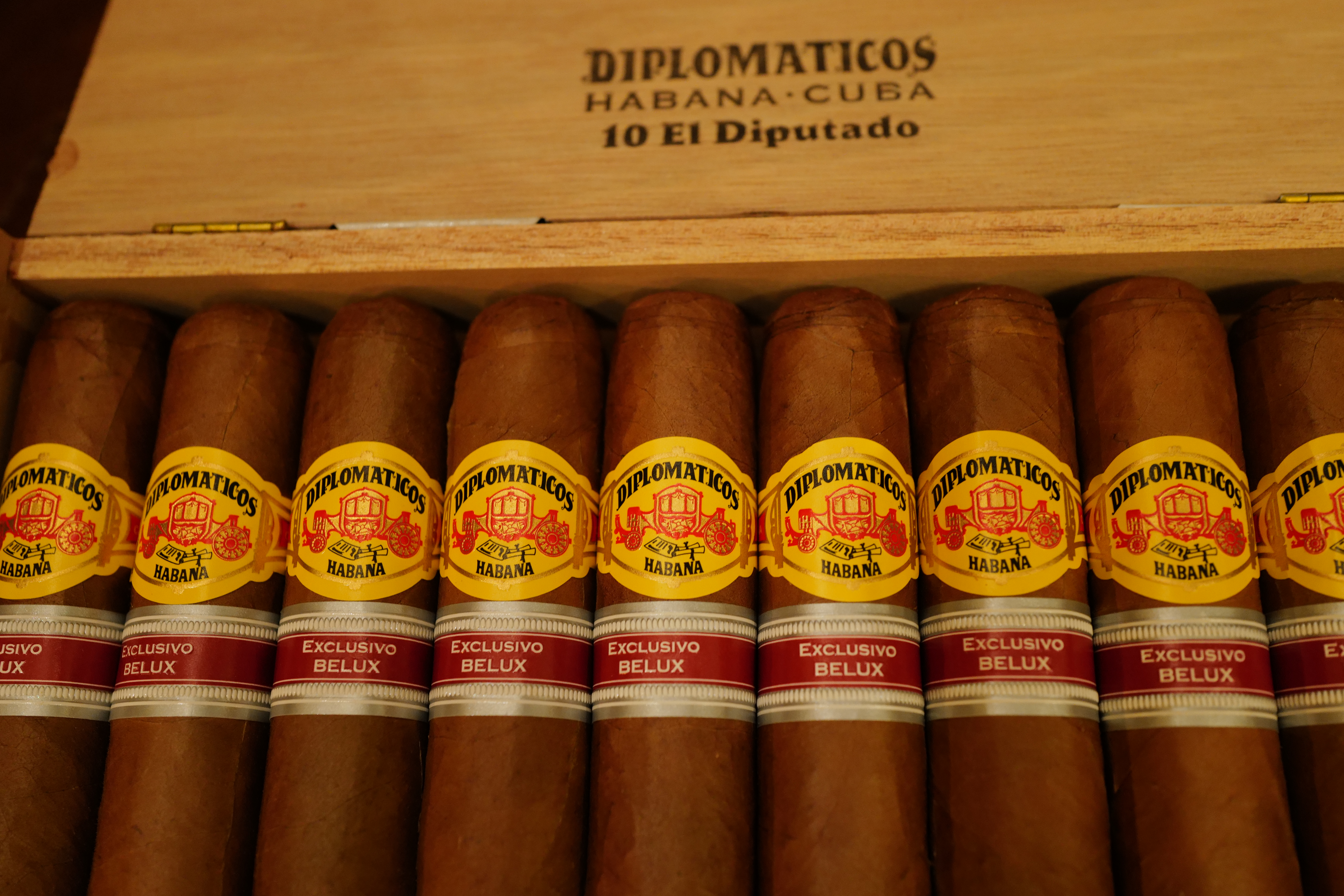 Diplomáticos El Diputado Edición Regional Belux