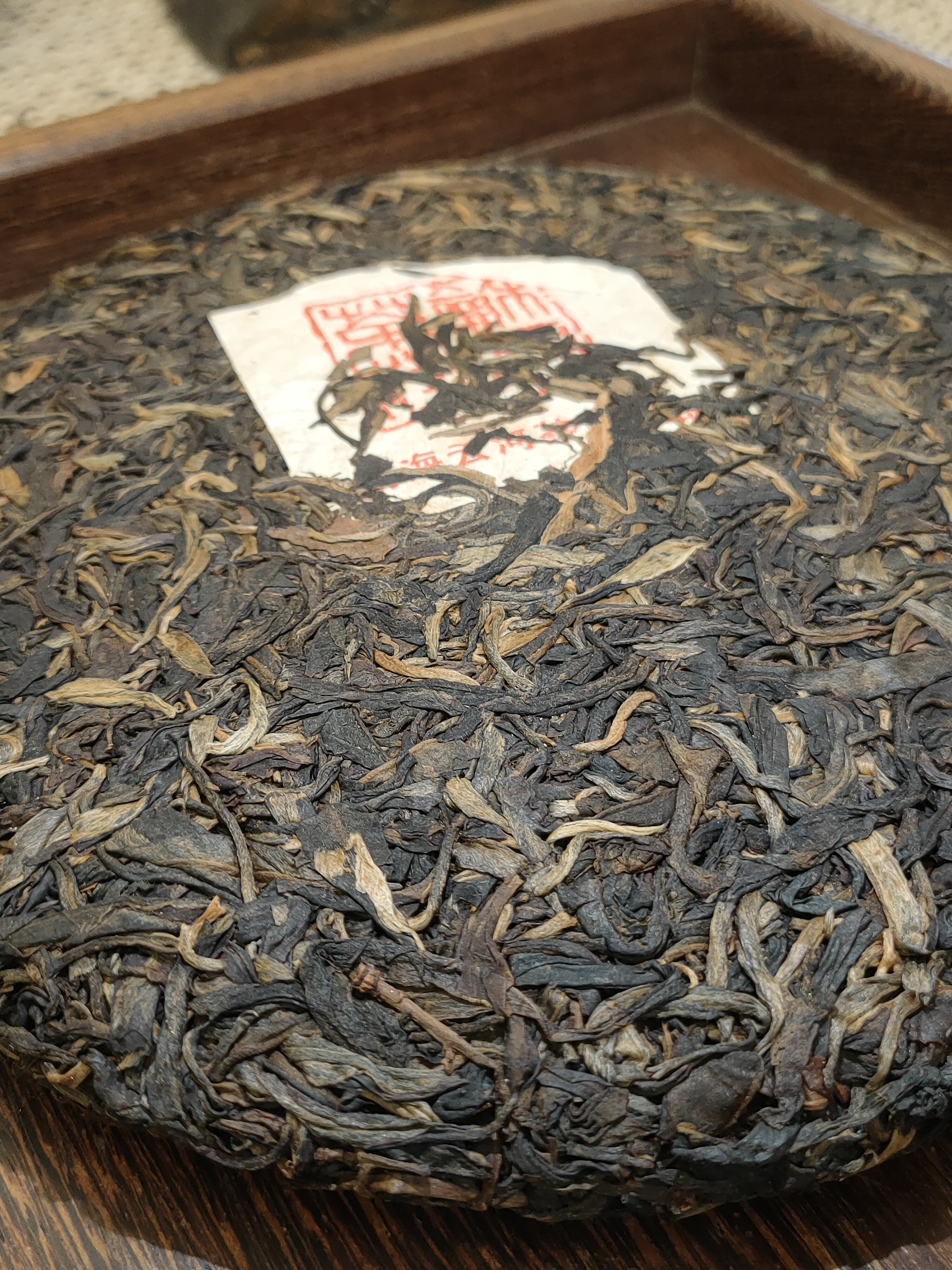 2009年 早春 - 布朗山大樹茶