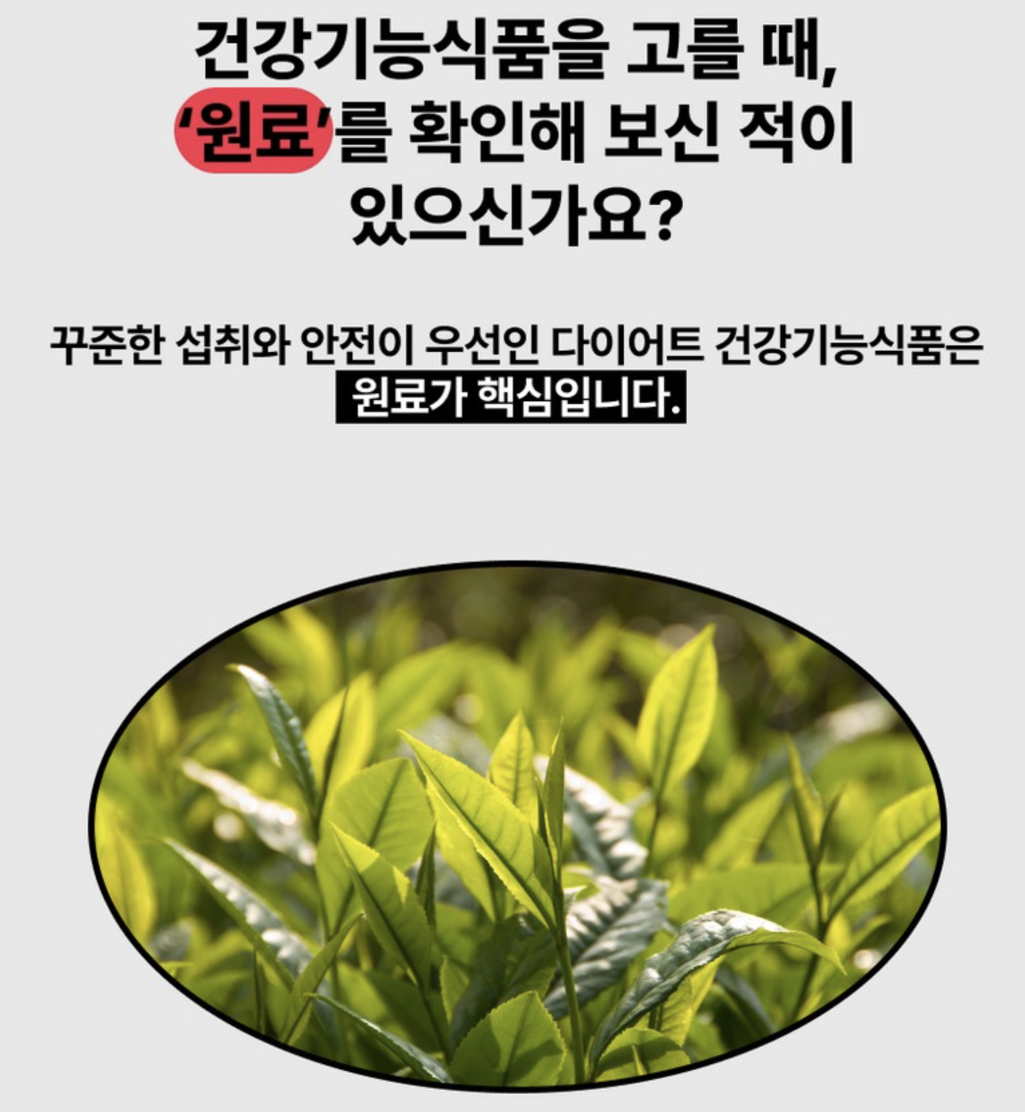 韓國 PRO NUTRITION 燒脂瘦身塑形膠囊 60粒 / 樽｜Expertrition CALO BURST