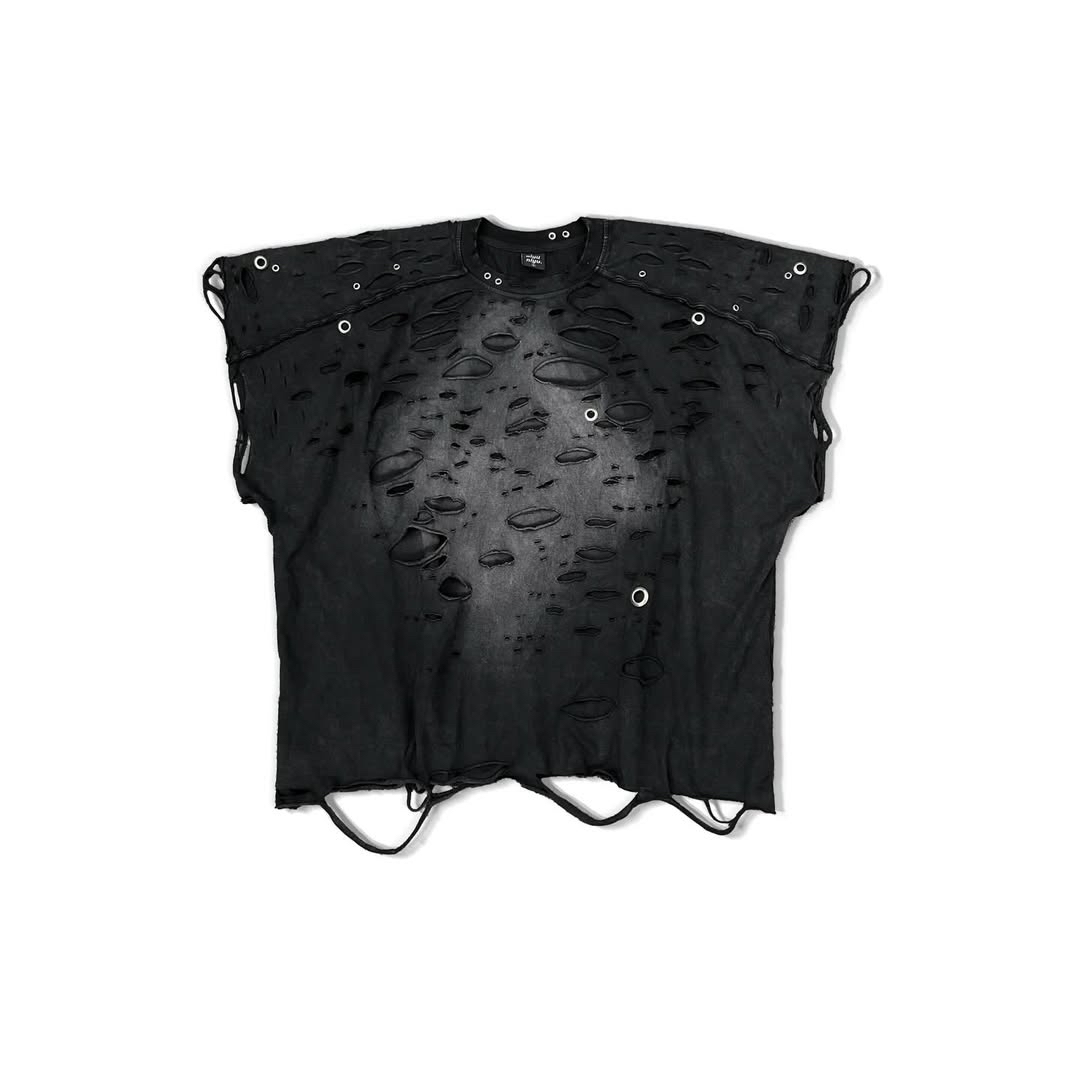 Destroyed Batwing TS