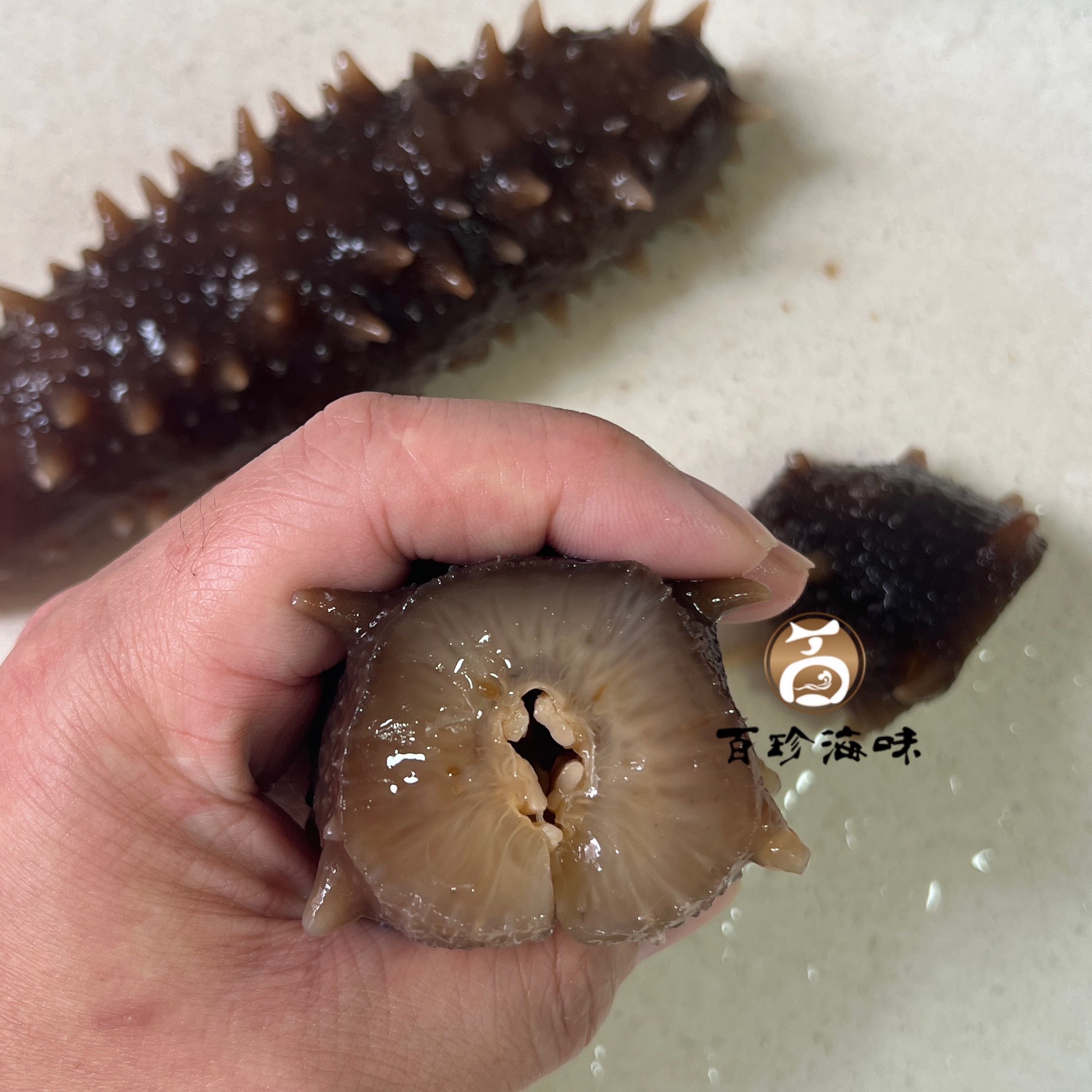 日本野生關東刺參30-35條