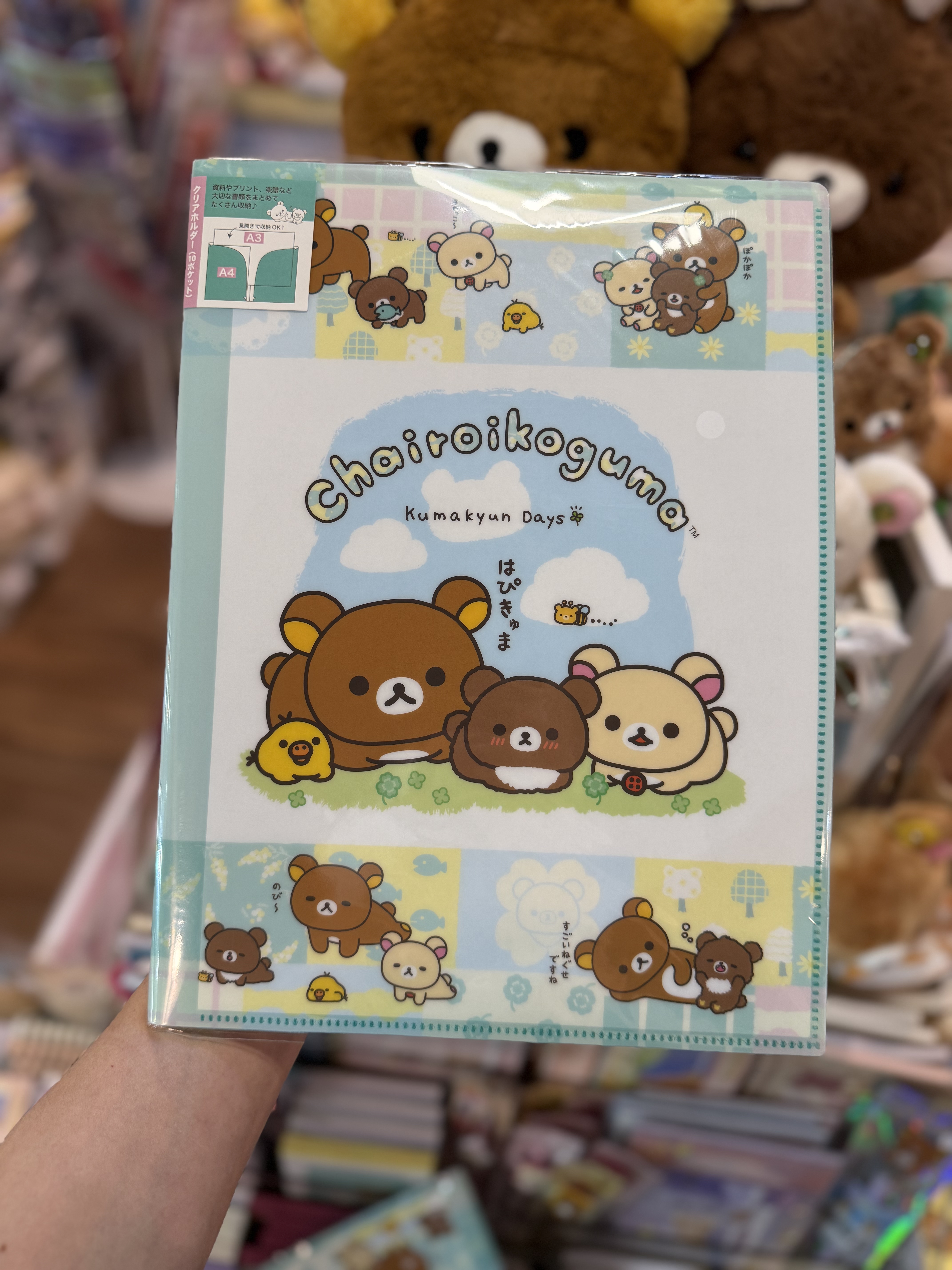 《現貨》全新小熊10週年紀念四葉草系列A3/A4分頁file